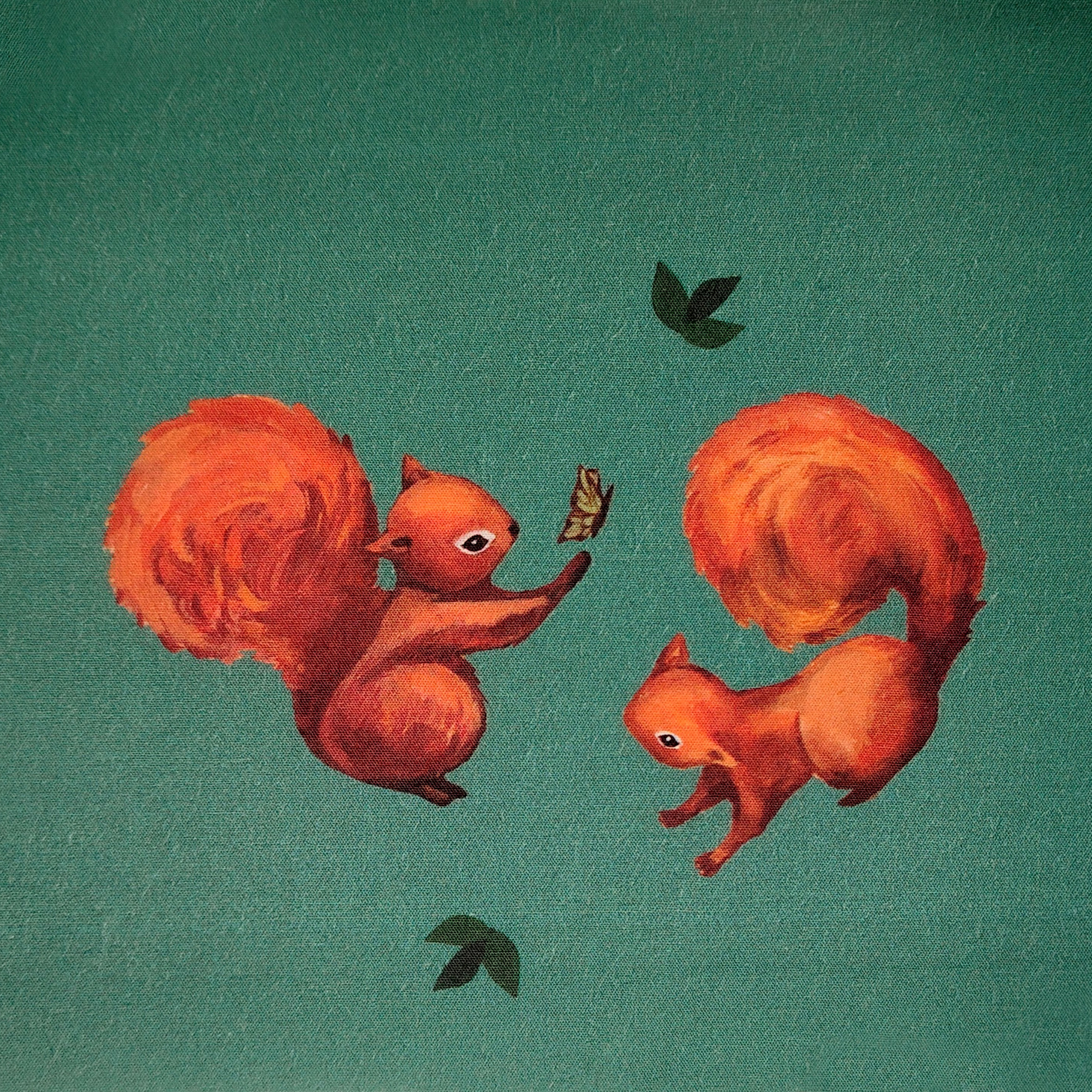 Принт «Белки» супер-хлопок. 1 м ткани. Роспись стен и декор в детских комнатах Москва и Подмосковье