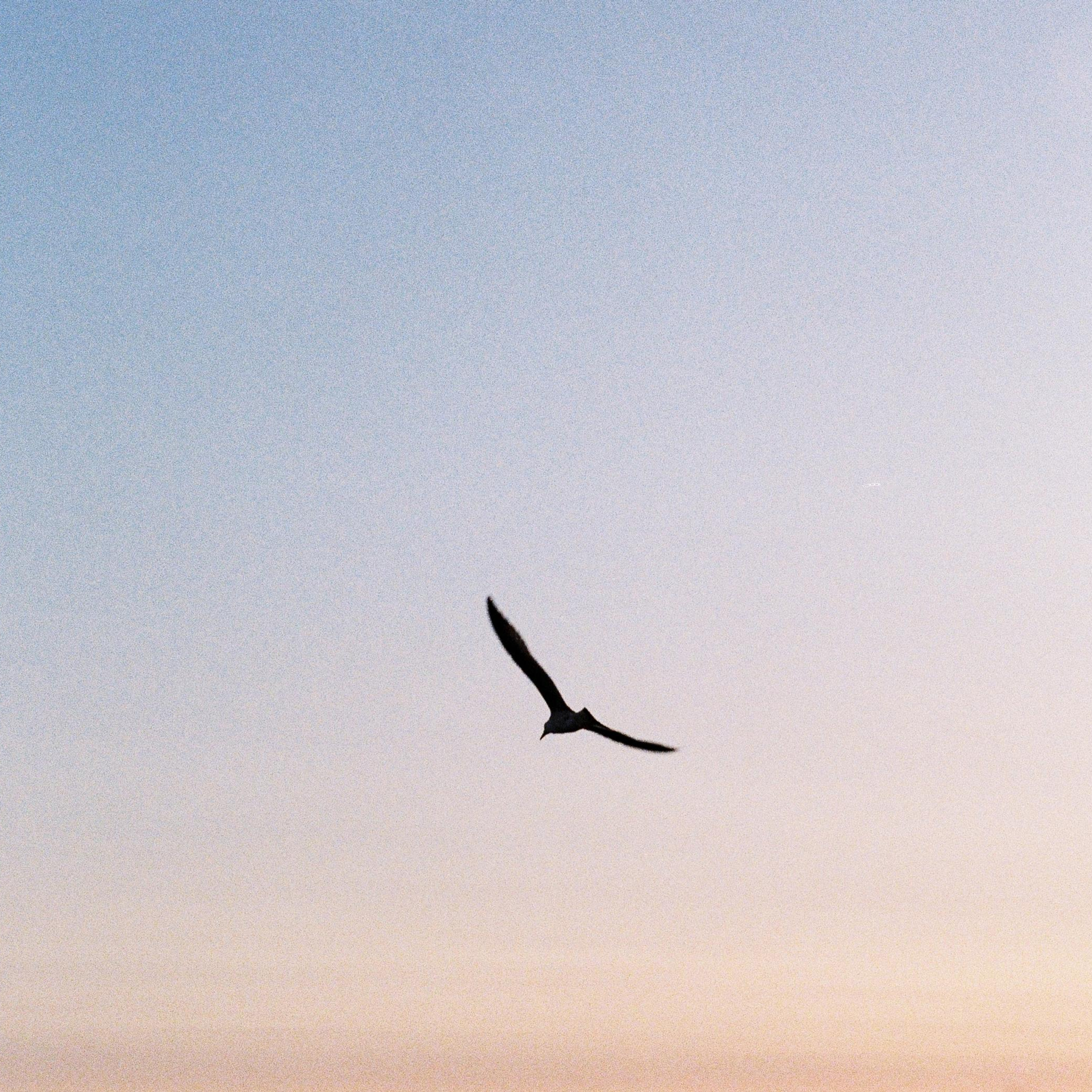 Увильды. Портретный фотограф | Олеся Комарова | Екатеринбург