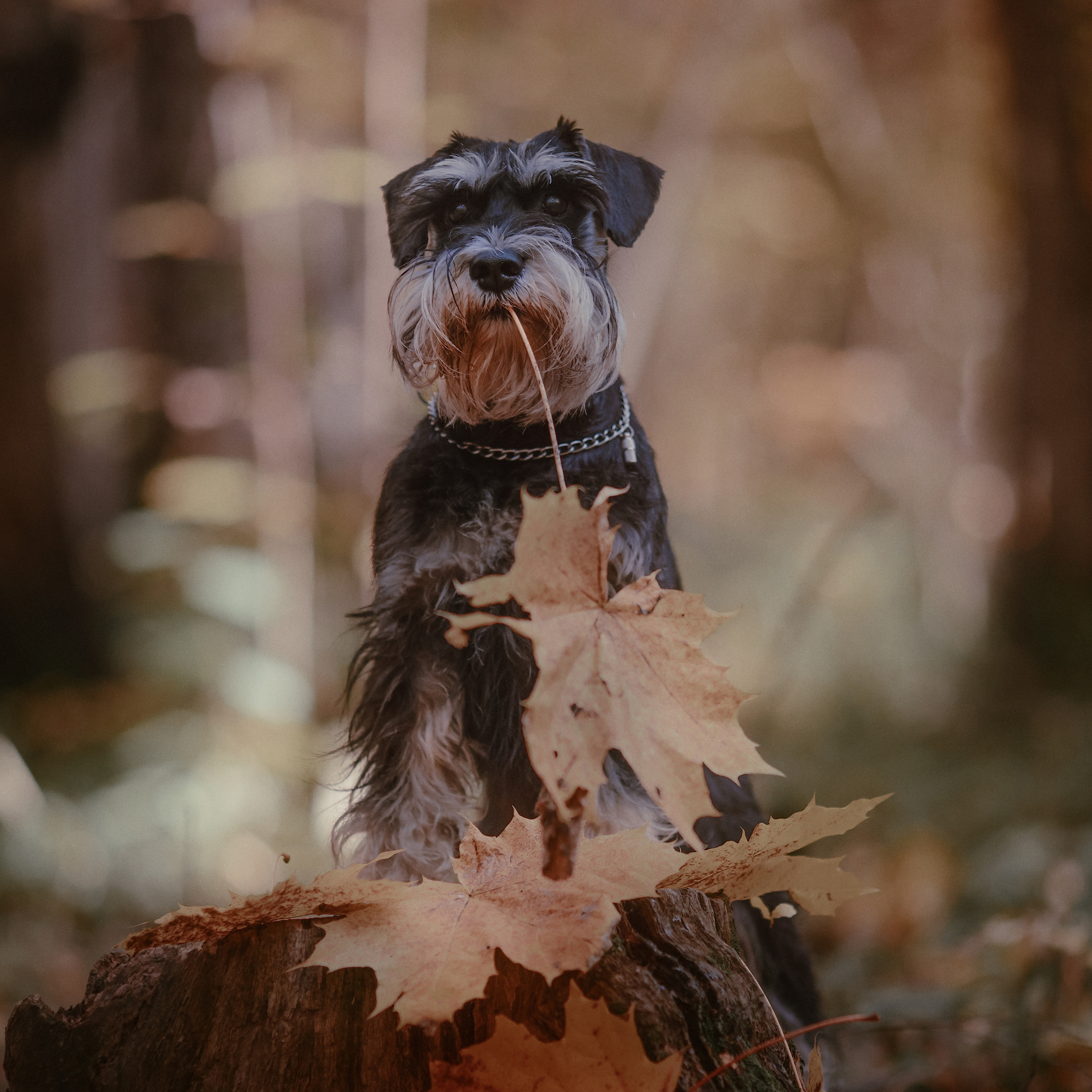 Вы обо мне. Yuliana Ra | Юлиана Ра