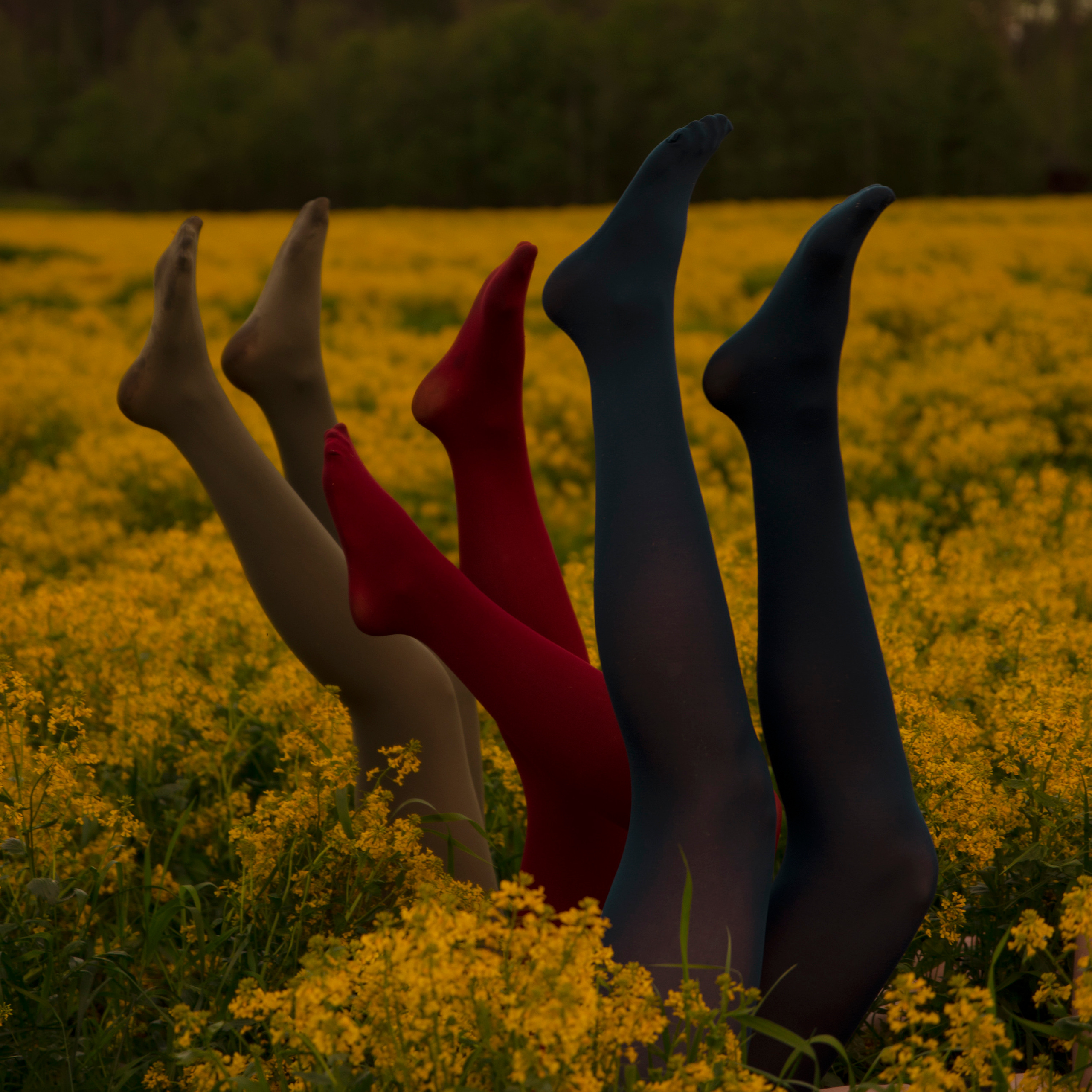 Групповые съёмки. Главная