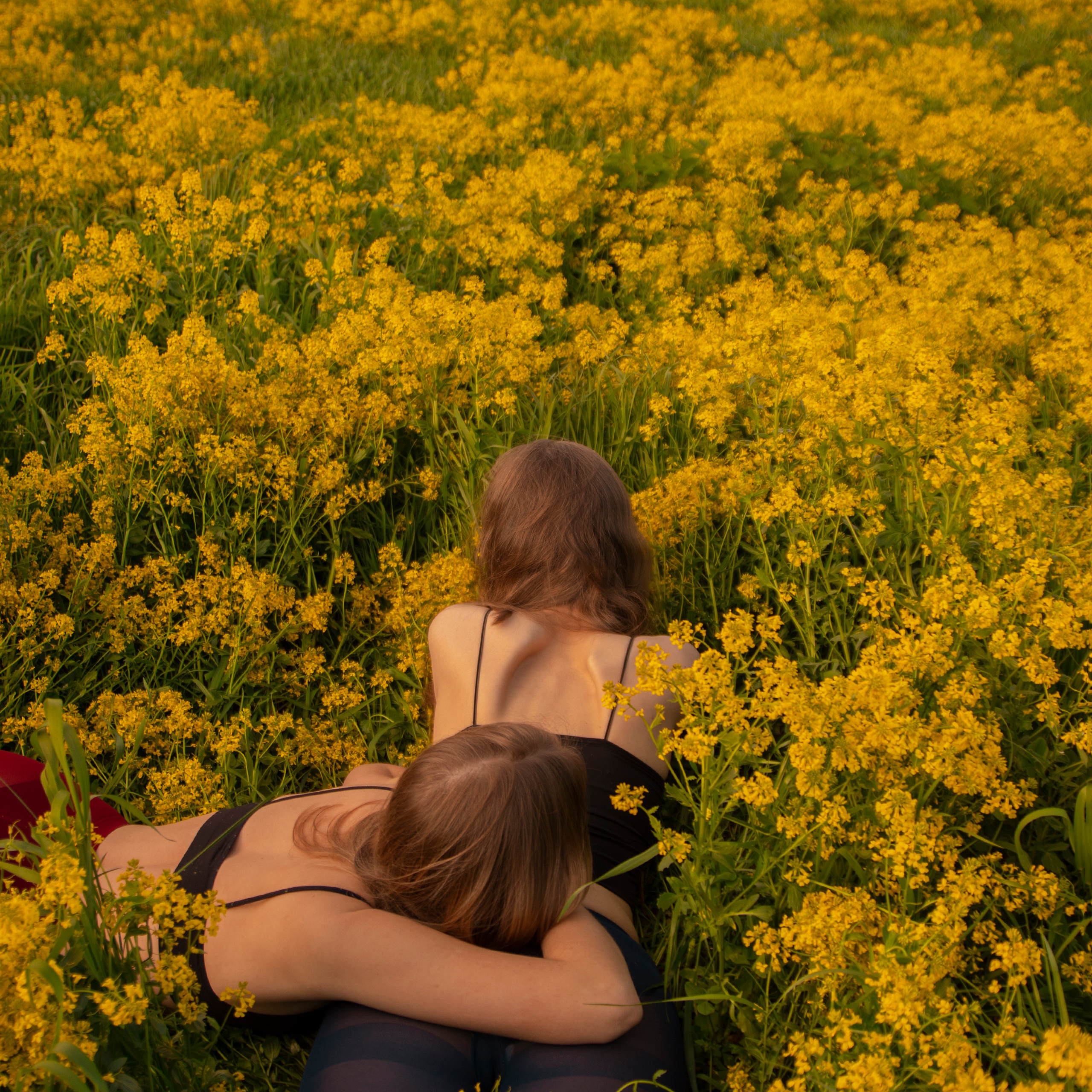Групповые съёмки. Главная