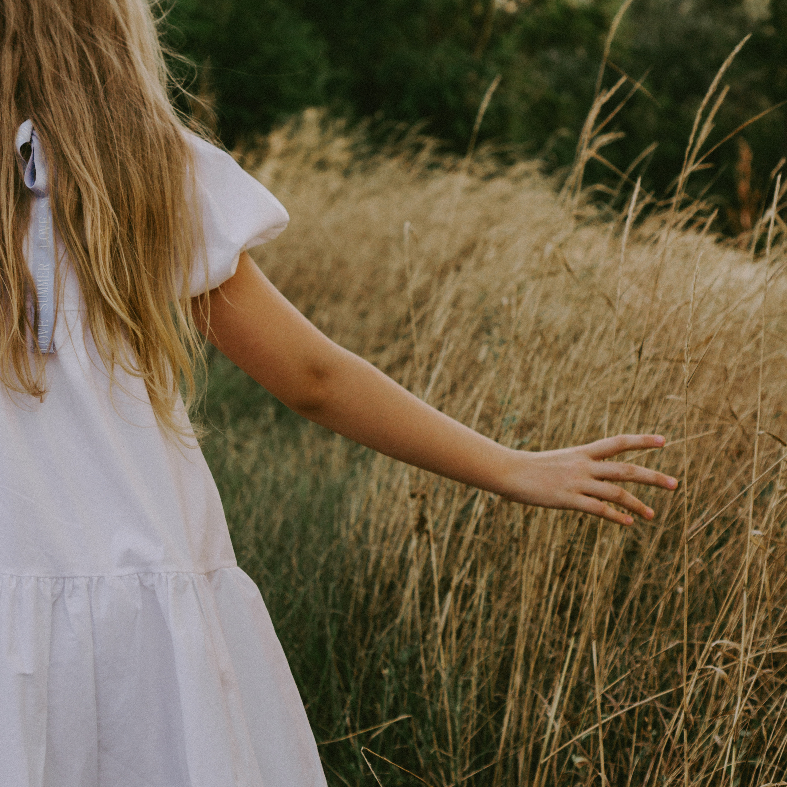 Летний день…