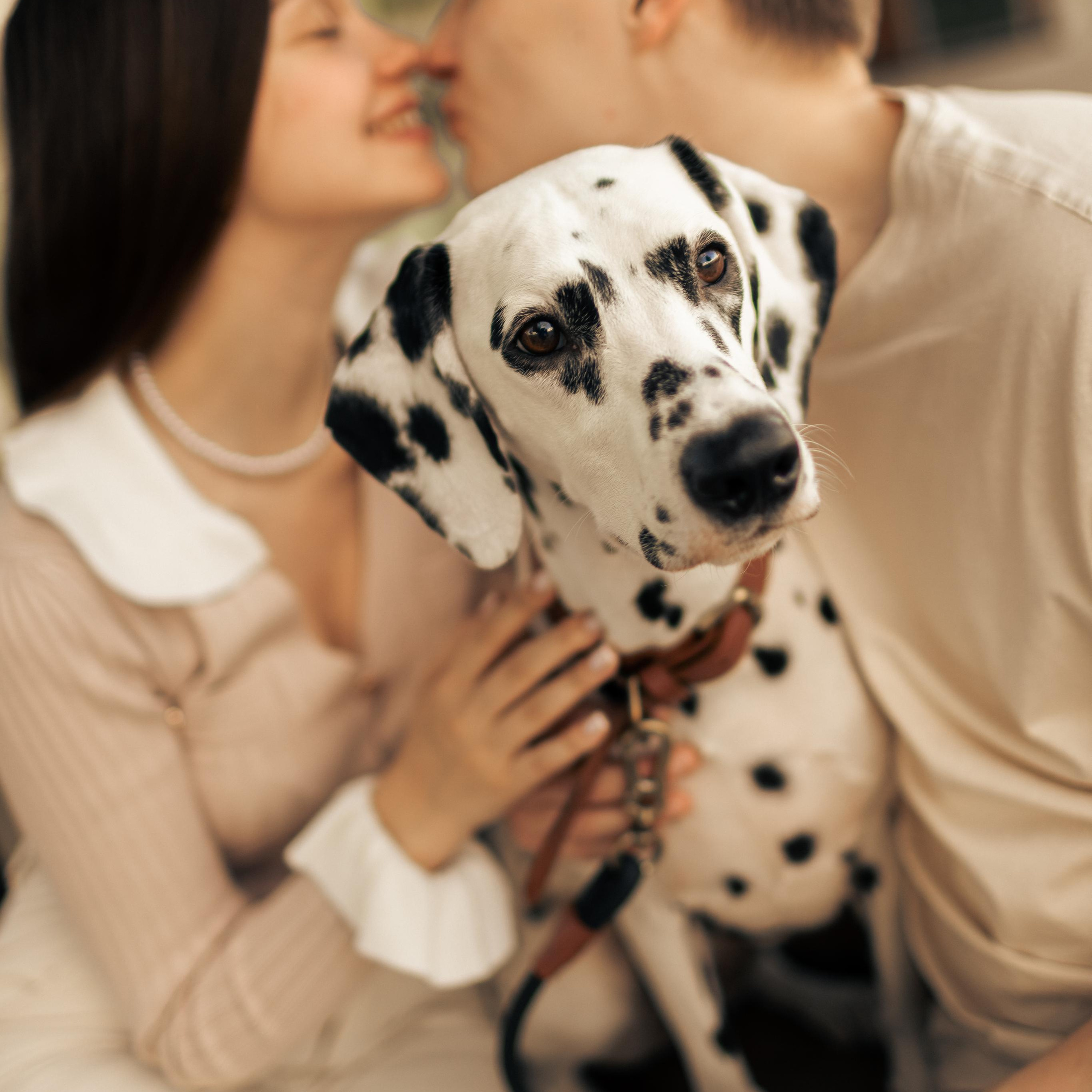 Отзывы. Фотограф про любовь в городе Москва