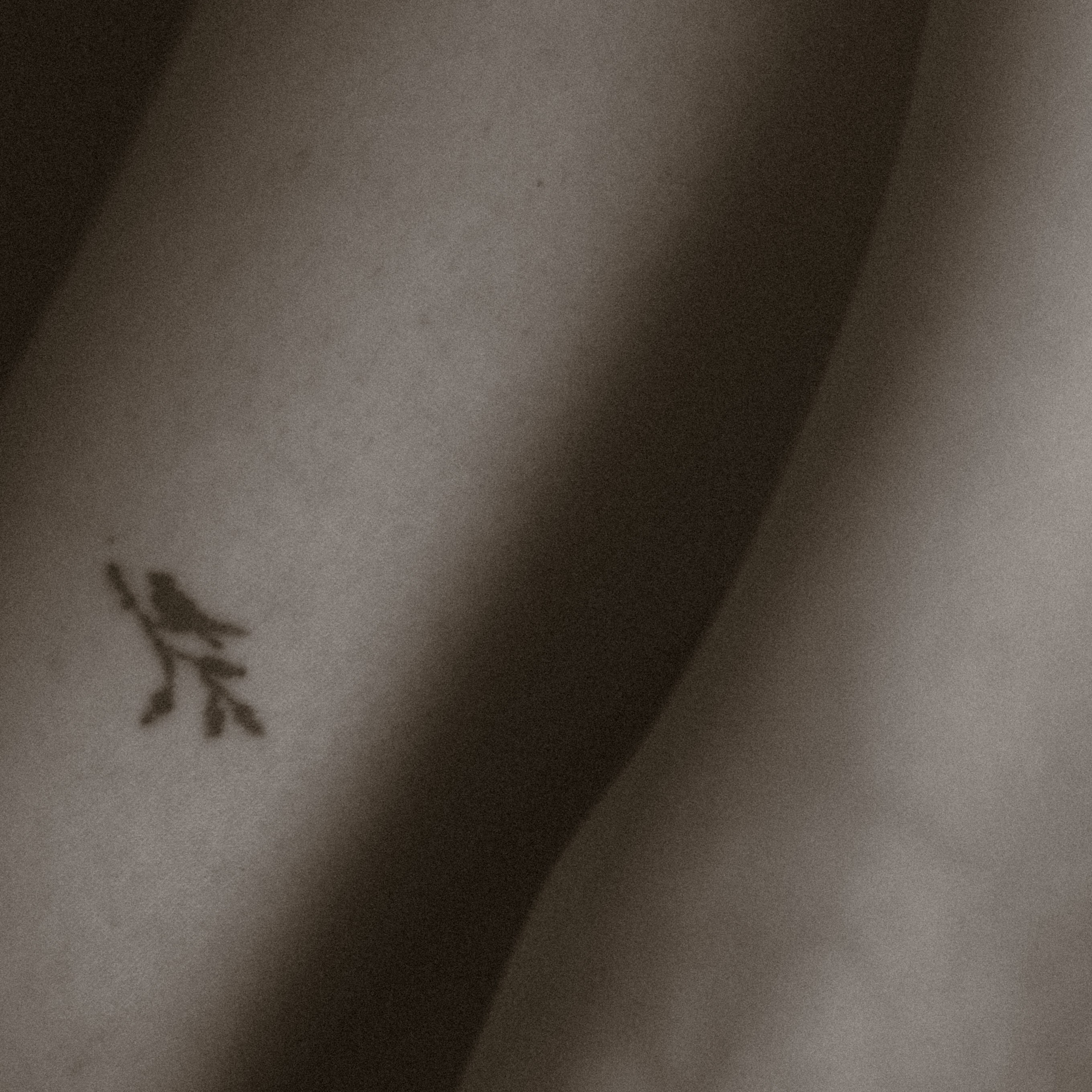 ELENA. Фотограф Рилсмейкер Казань Аюпова Алия