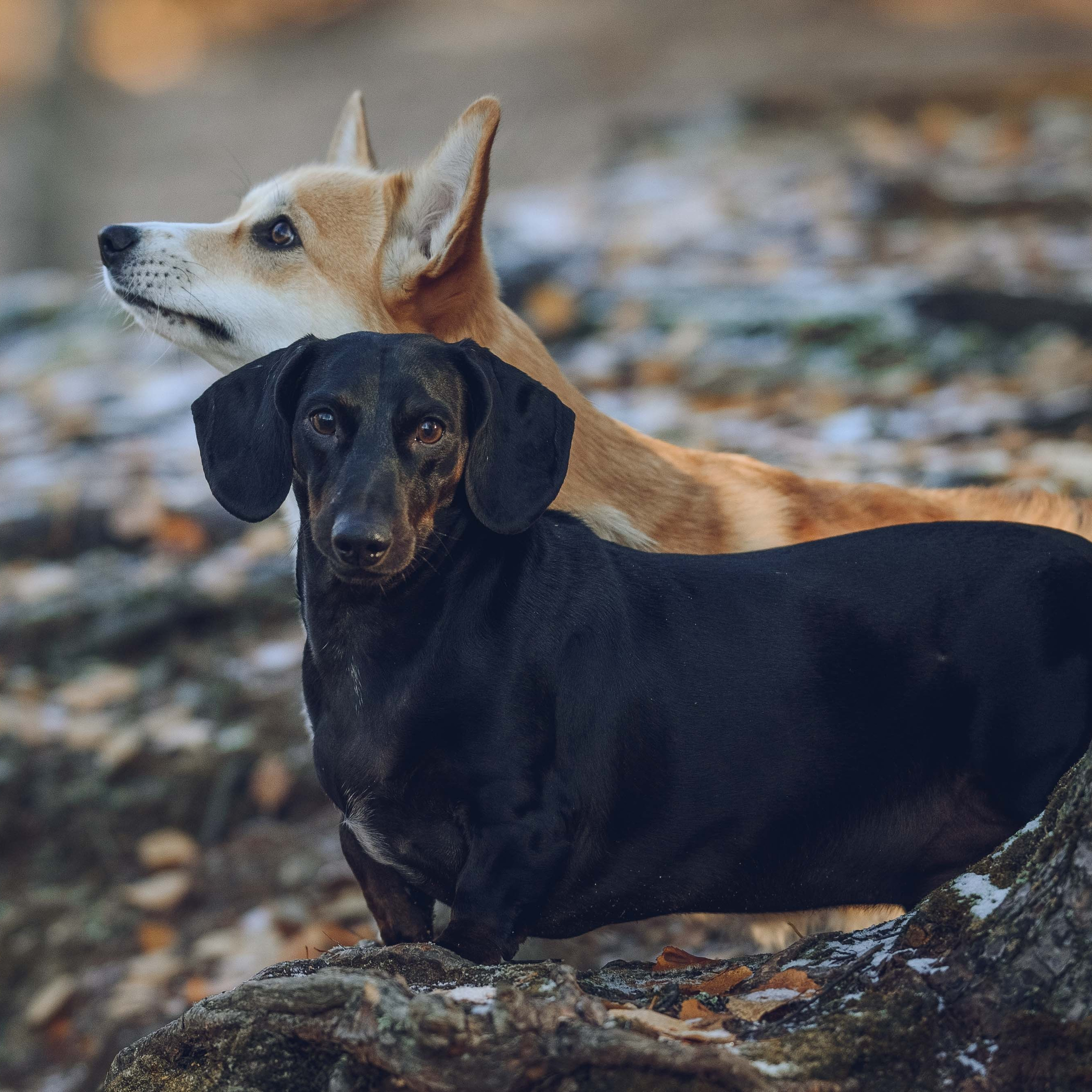 Отзывы. Семейный фотограф в Санкт-Петербурге Ирина Мороз