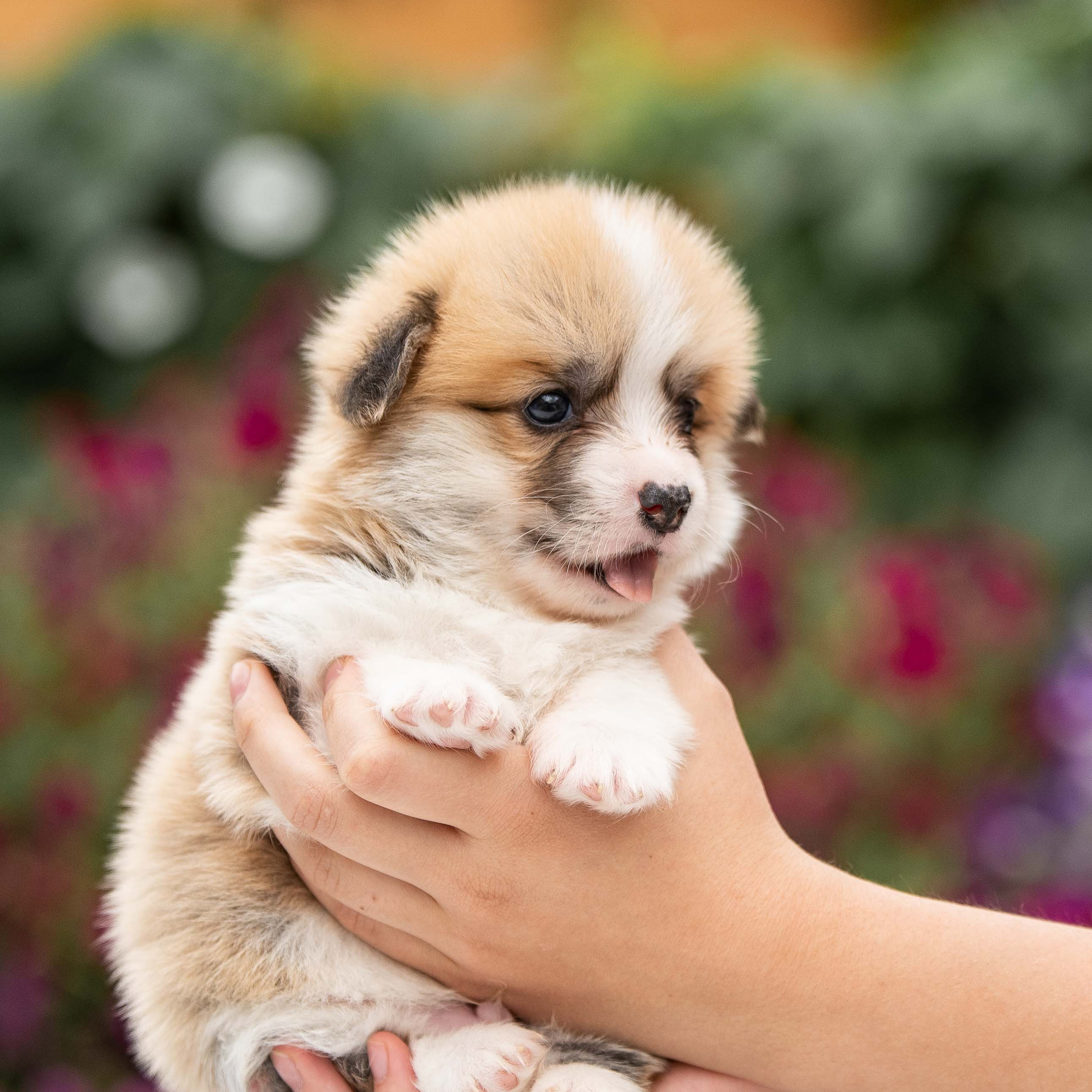 можно ли быть милее…