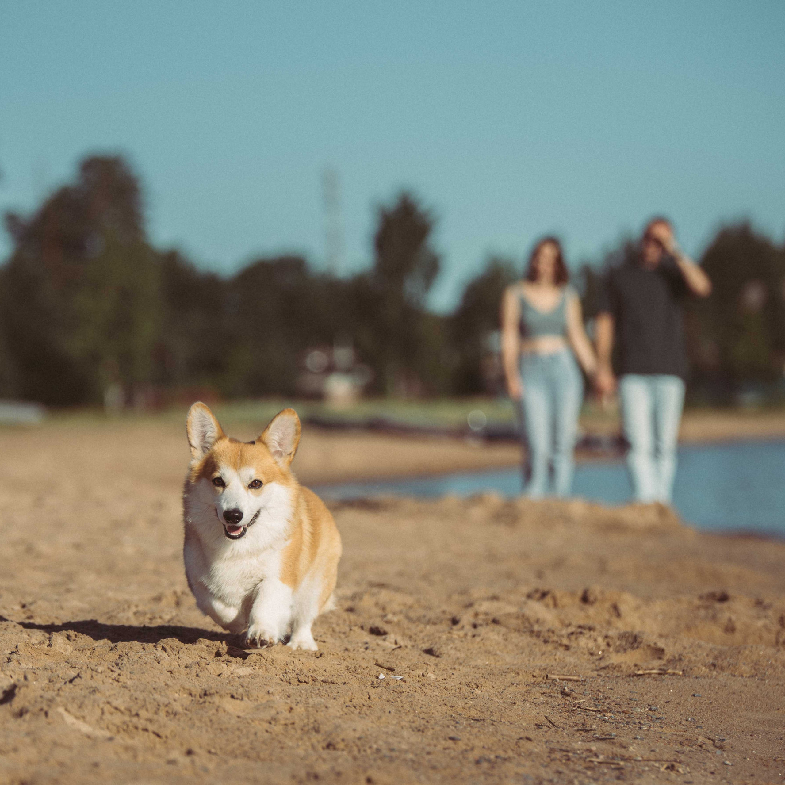 Отзывы. Семейный фотограф в Санкт-Петербурге Ирина Мороз