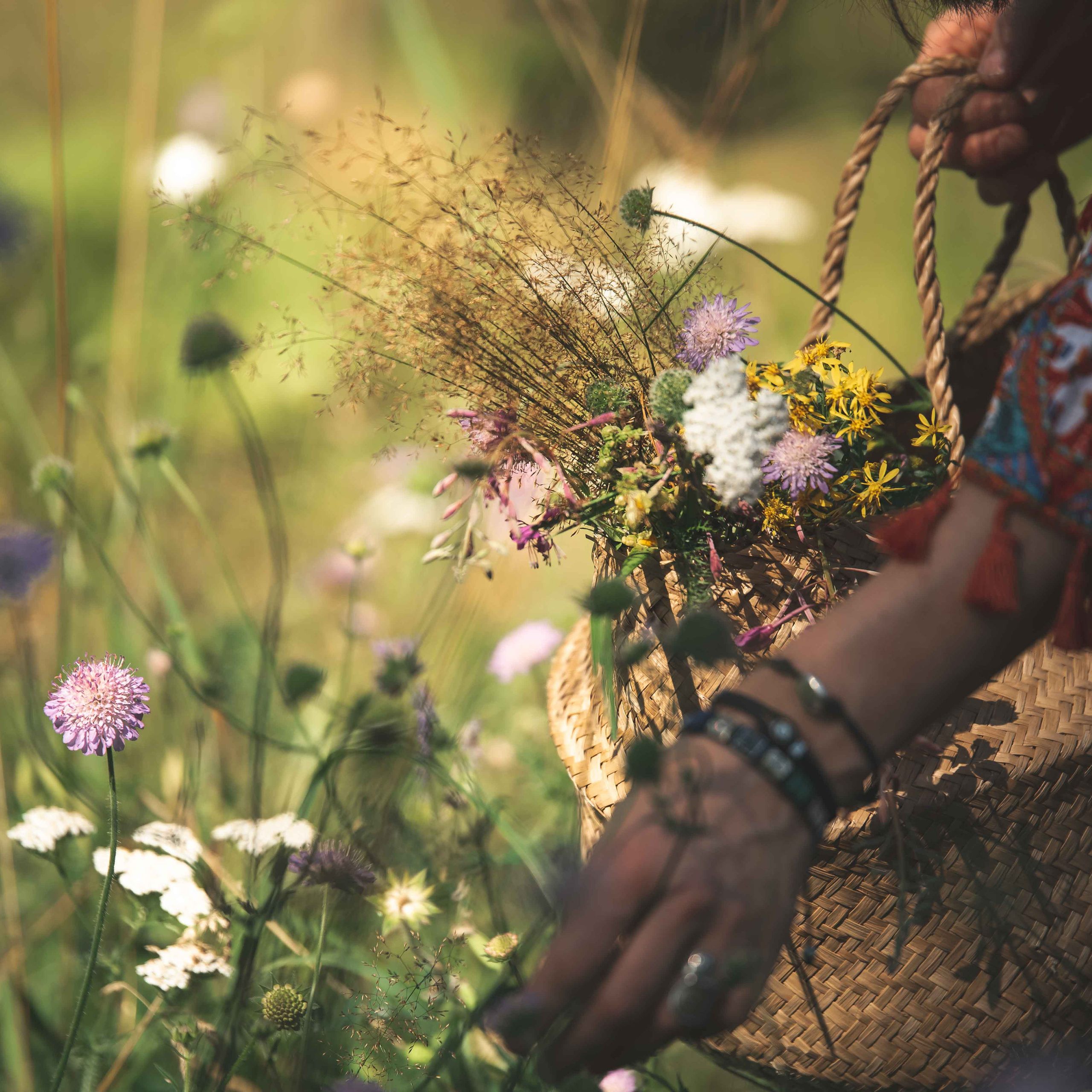 золотое лето