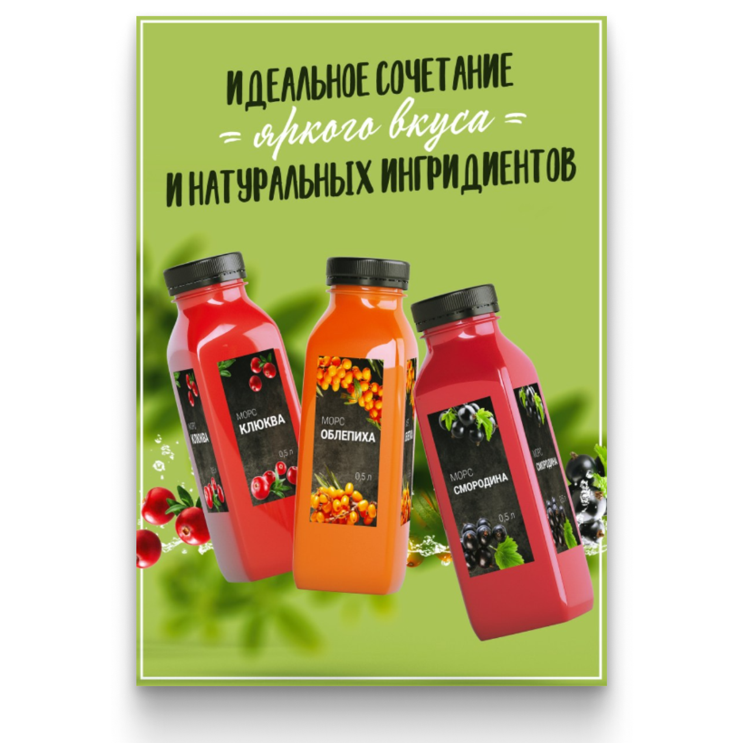 НАРУЖКА/галерея. • Blue Feather • фотография, графический дизайн, Комсомольск-на-Амуре