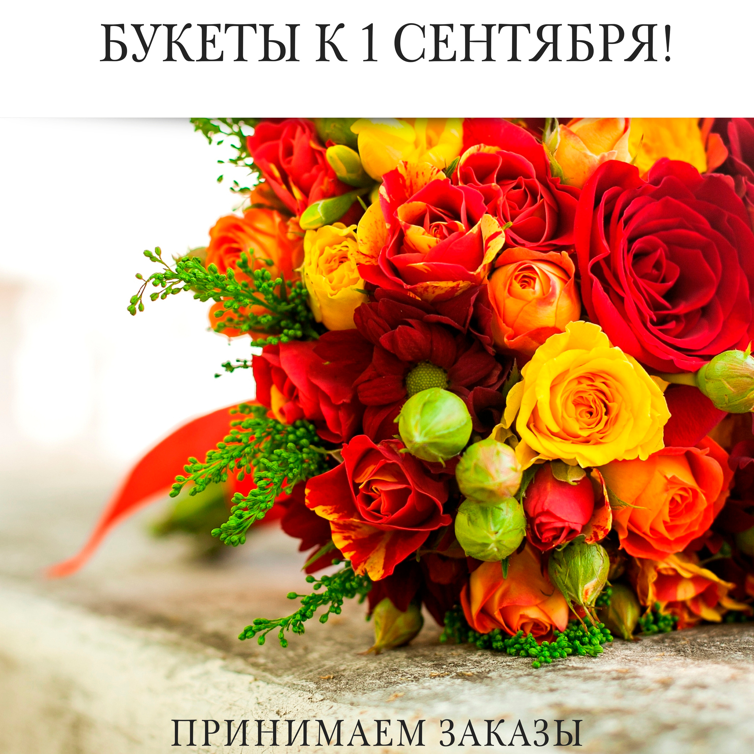 ROYAL BLOOM. • Blue Feather • фотография, графический дизайн, Комсомольск-на-Амуре