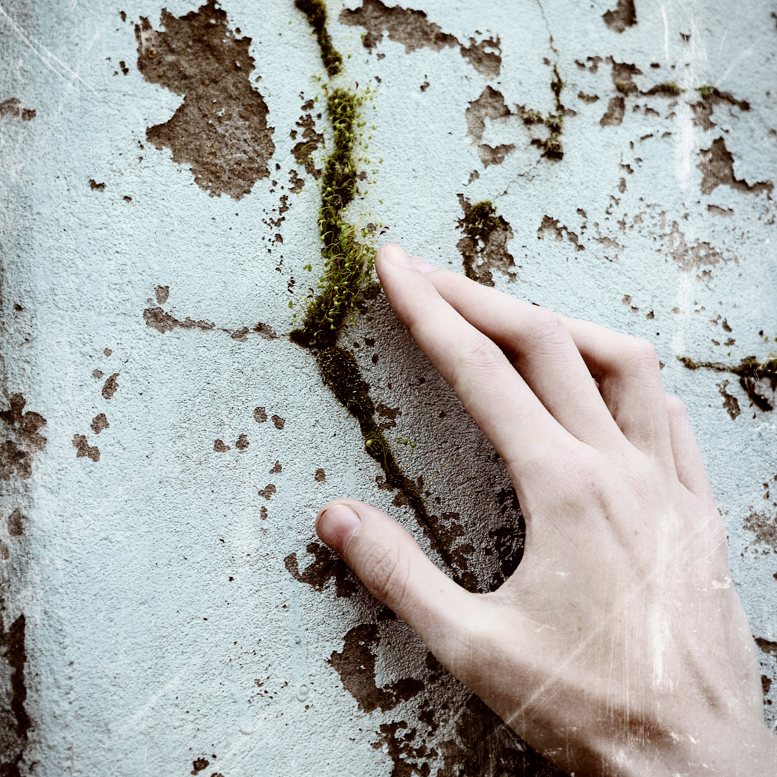 Valentina. • Blue Feather • фотография, графический дизайн, Комсомольск-на-Амуре