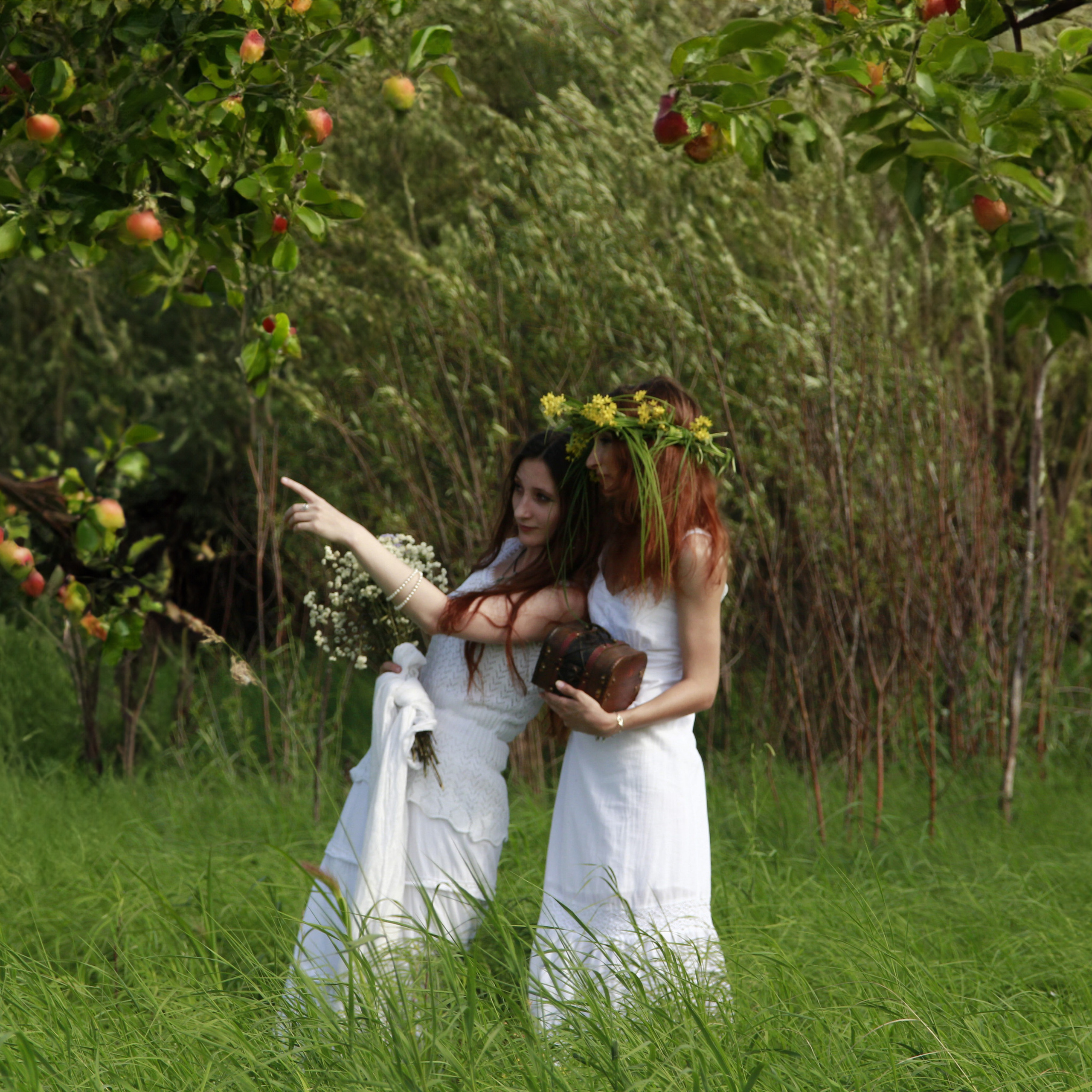 Mira • Annet. • Blue Feather • фотография, графический дизайн, Комсомольск-на-Амуре