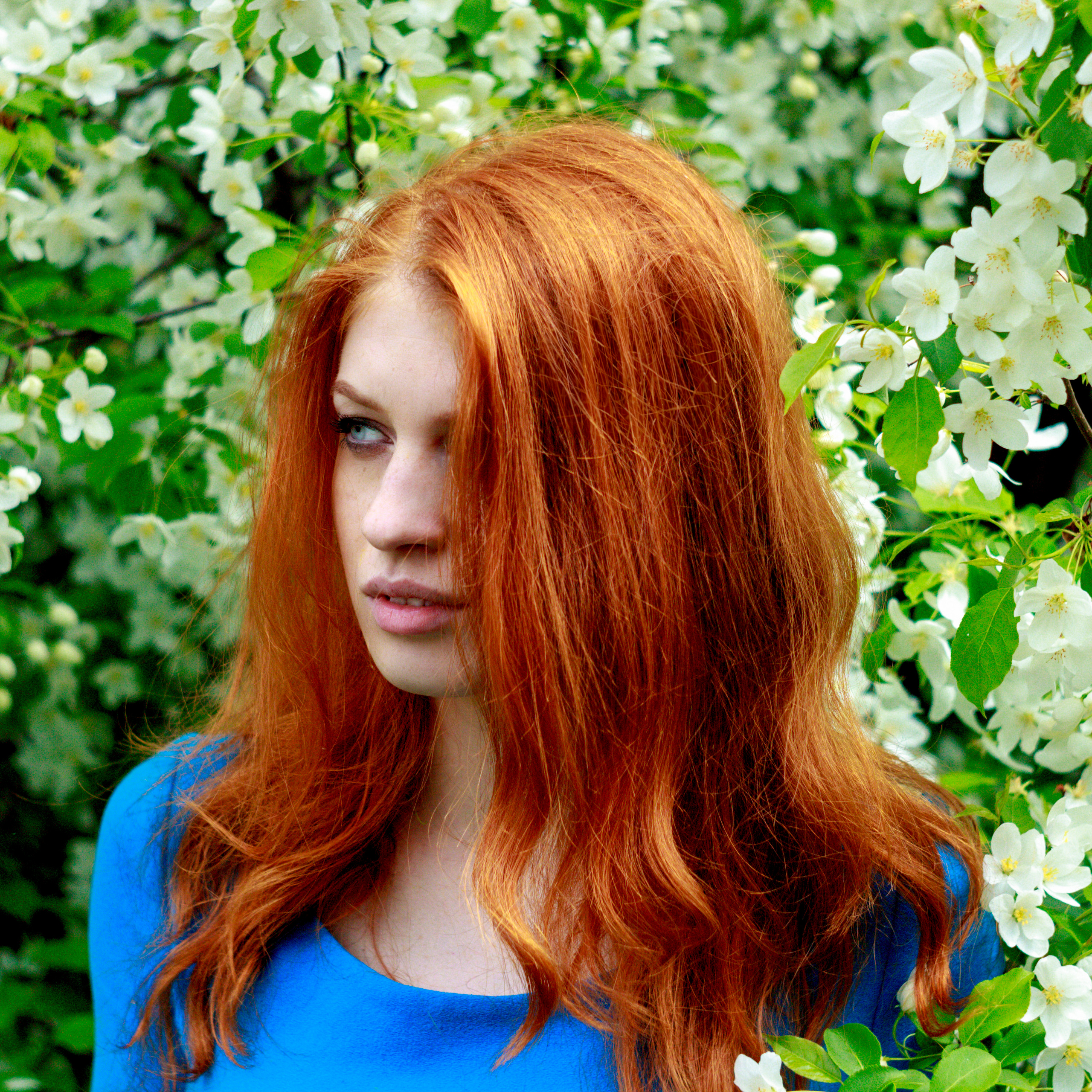 Valentina. • Blue Feather • фотография, графический дизайн, Комсомольск-на-Амуре