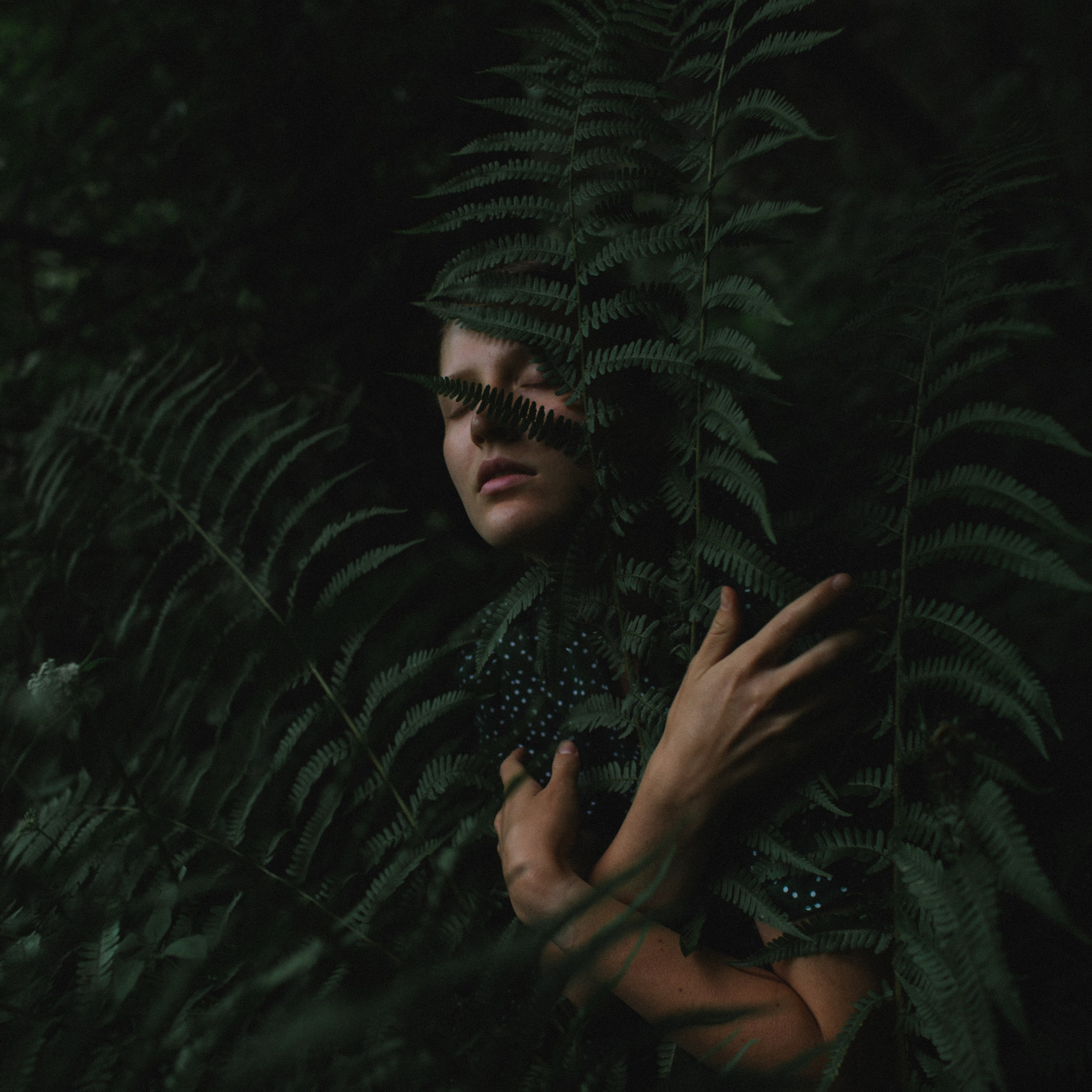 Загадка папоротника