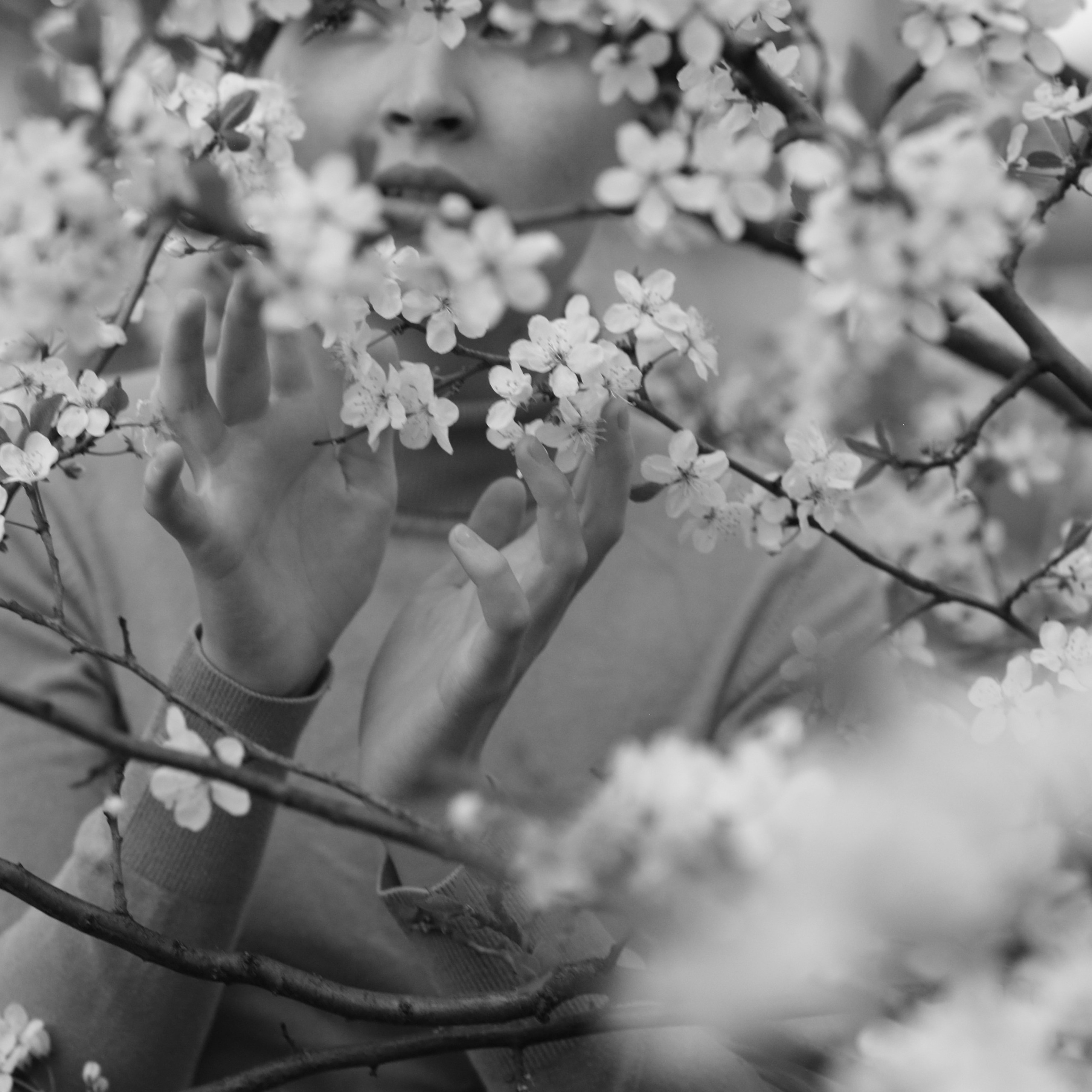 Девушка в цветущей сливе