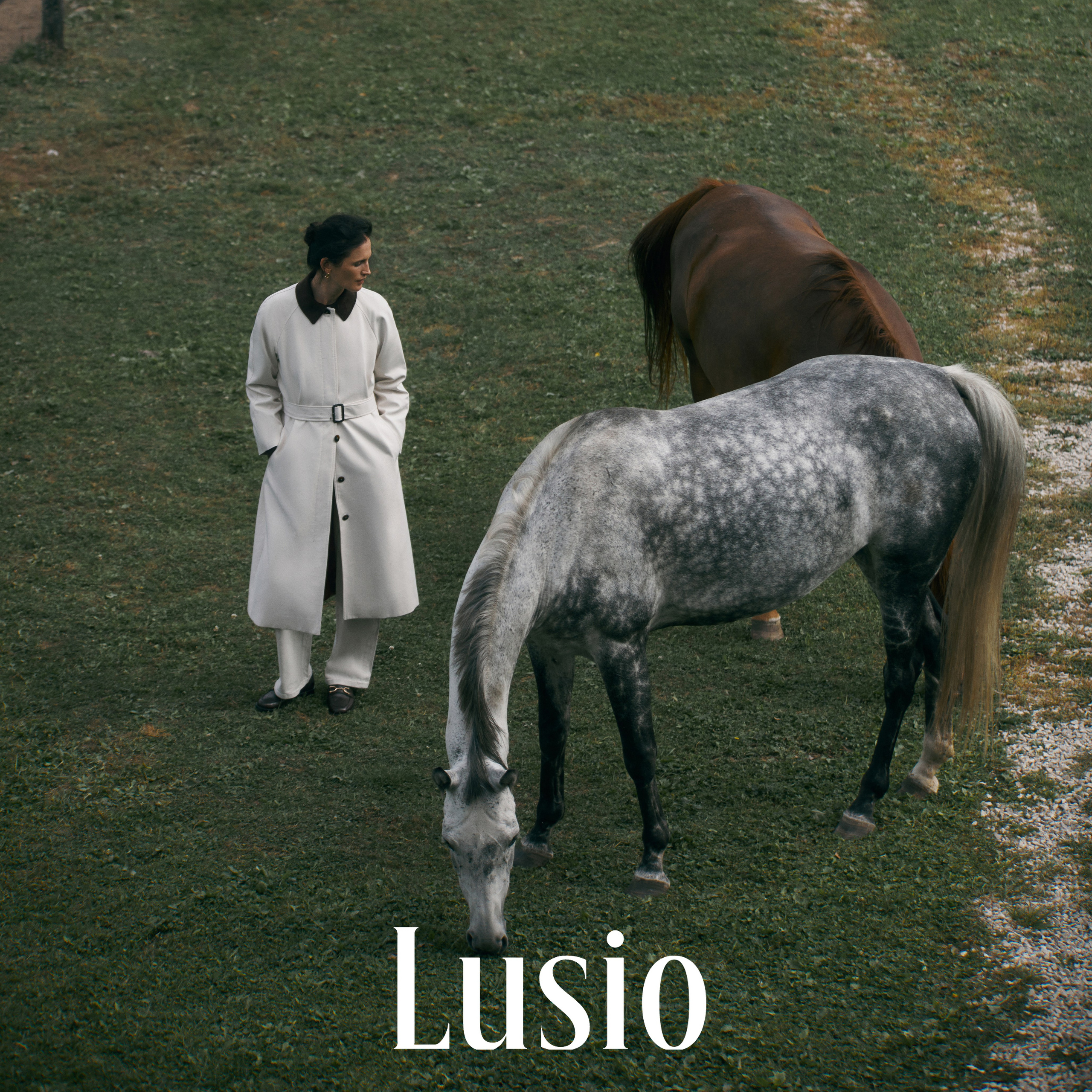 Lusio