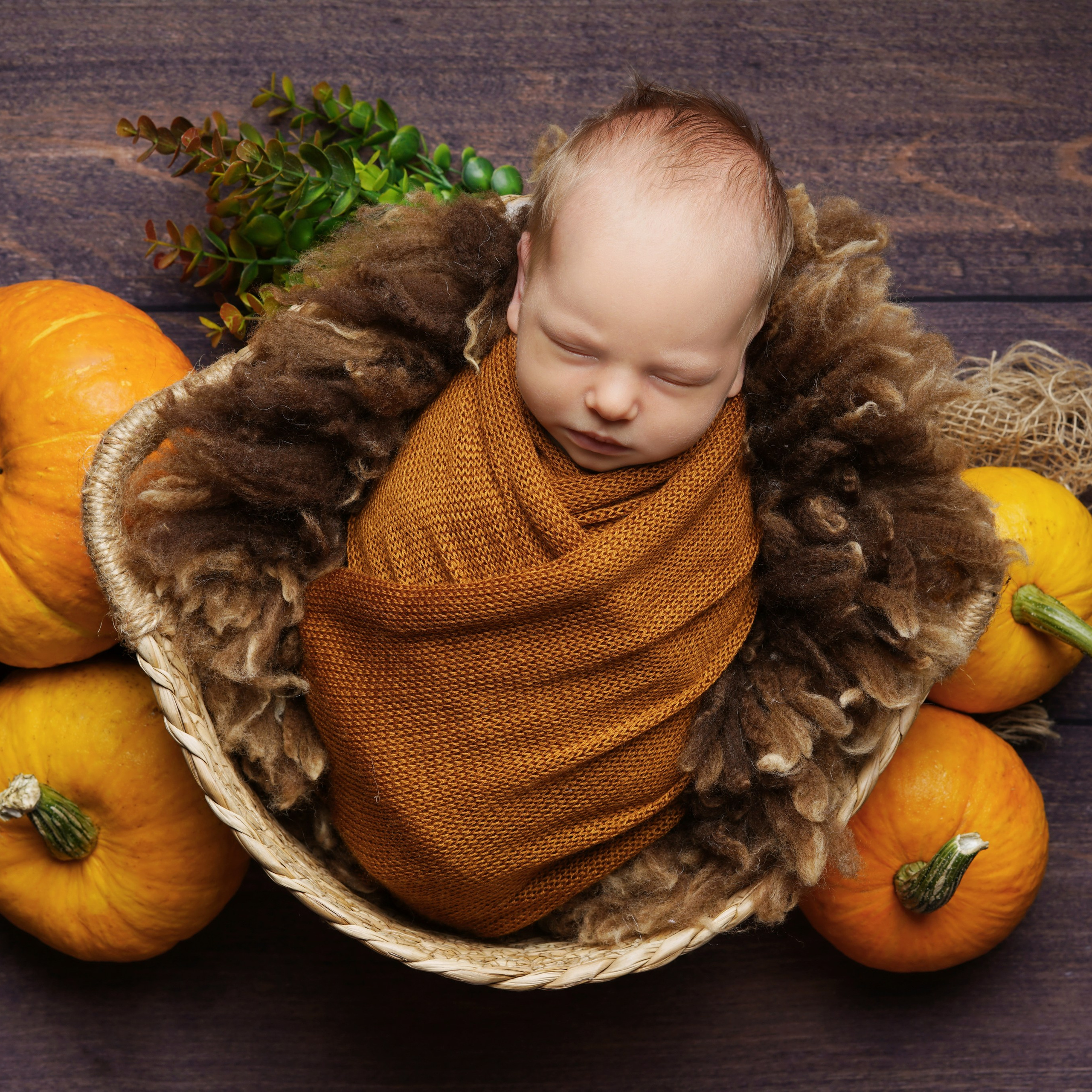 Отзывы. Фотограф новорожденных Тюмень