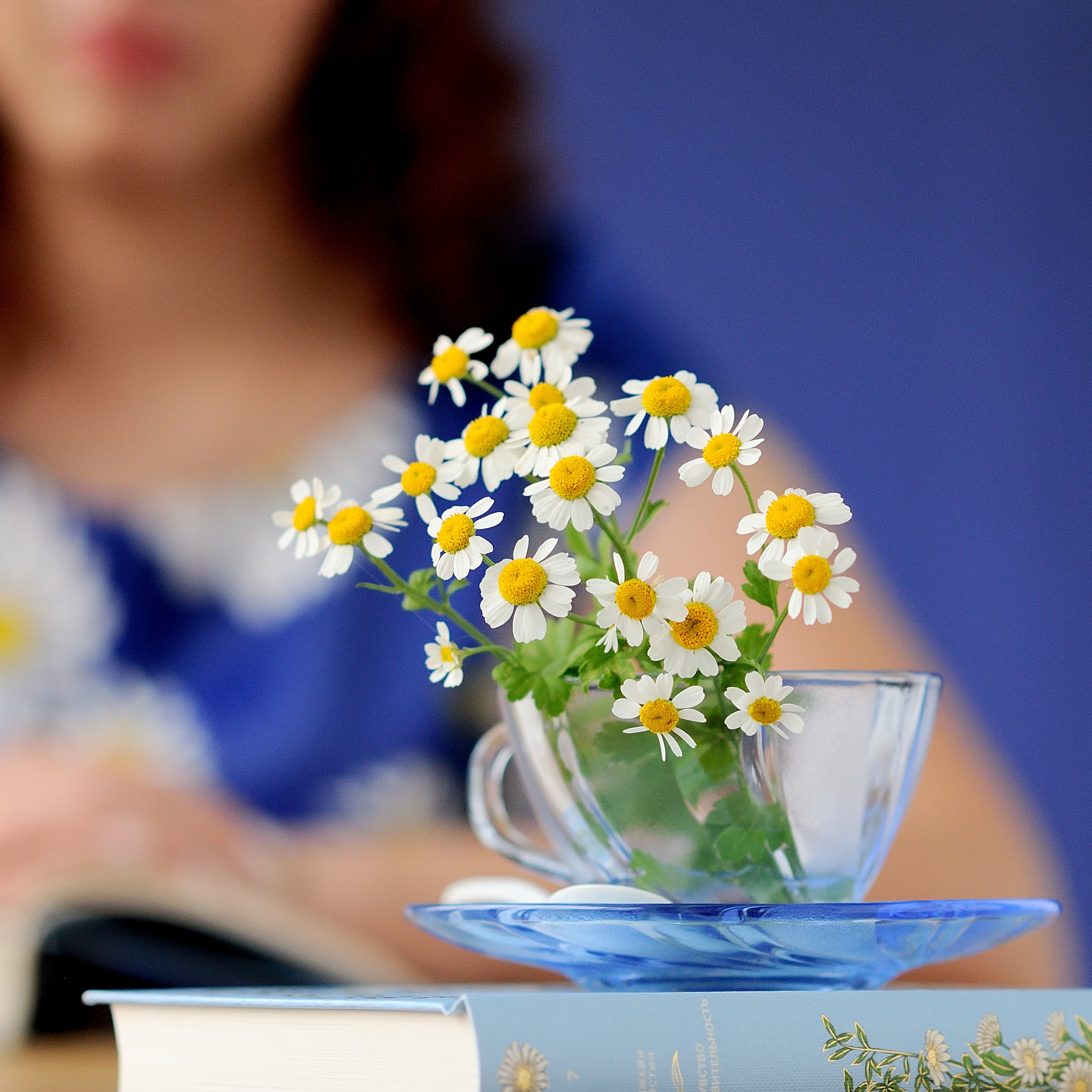 история с ромашками