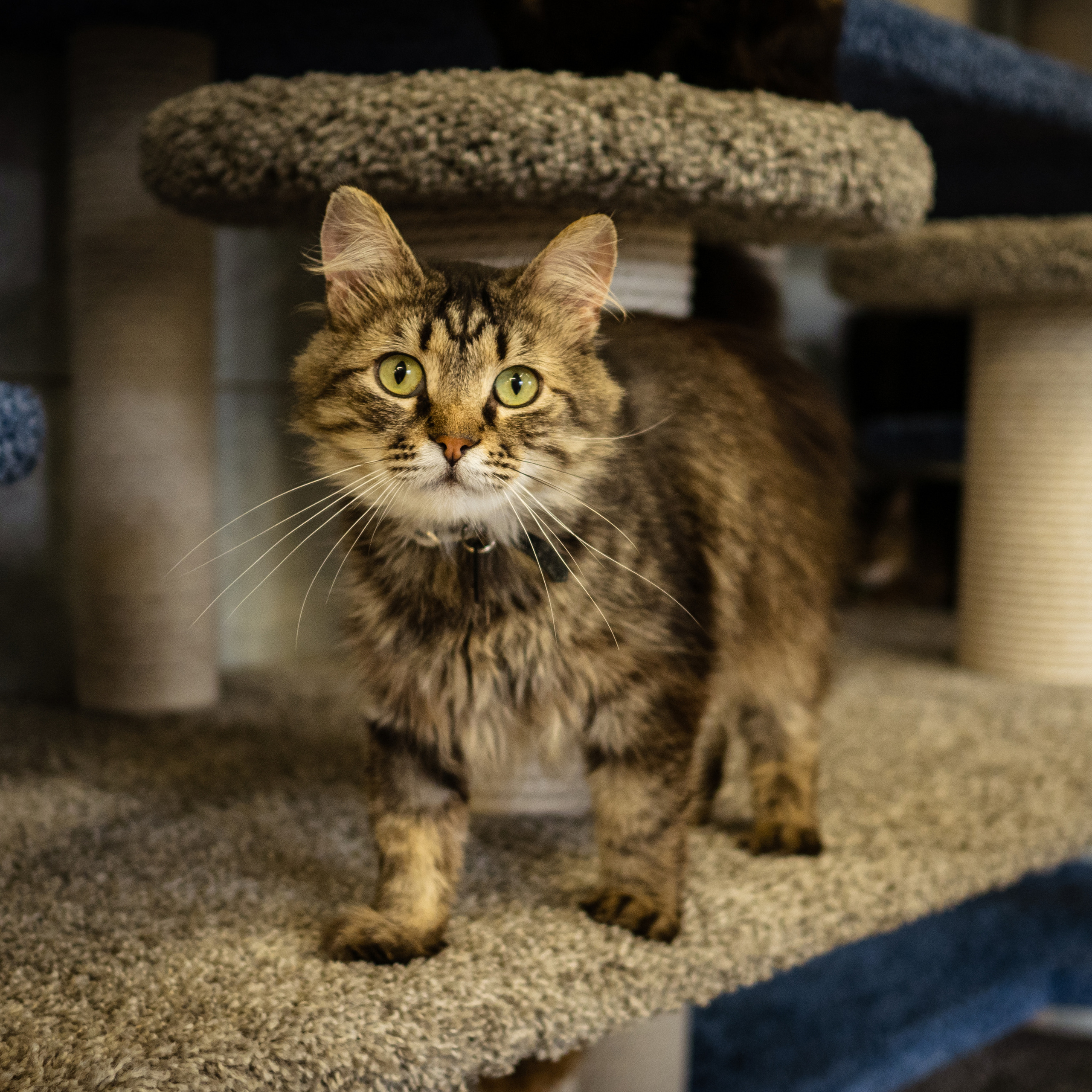 Отзывы. Кулишова Катерина — твой фотограф