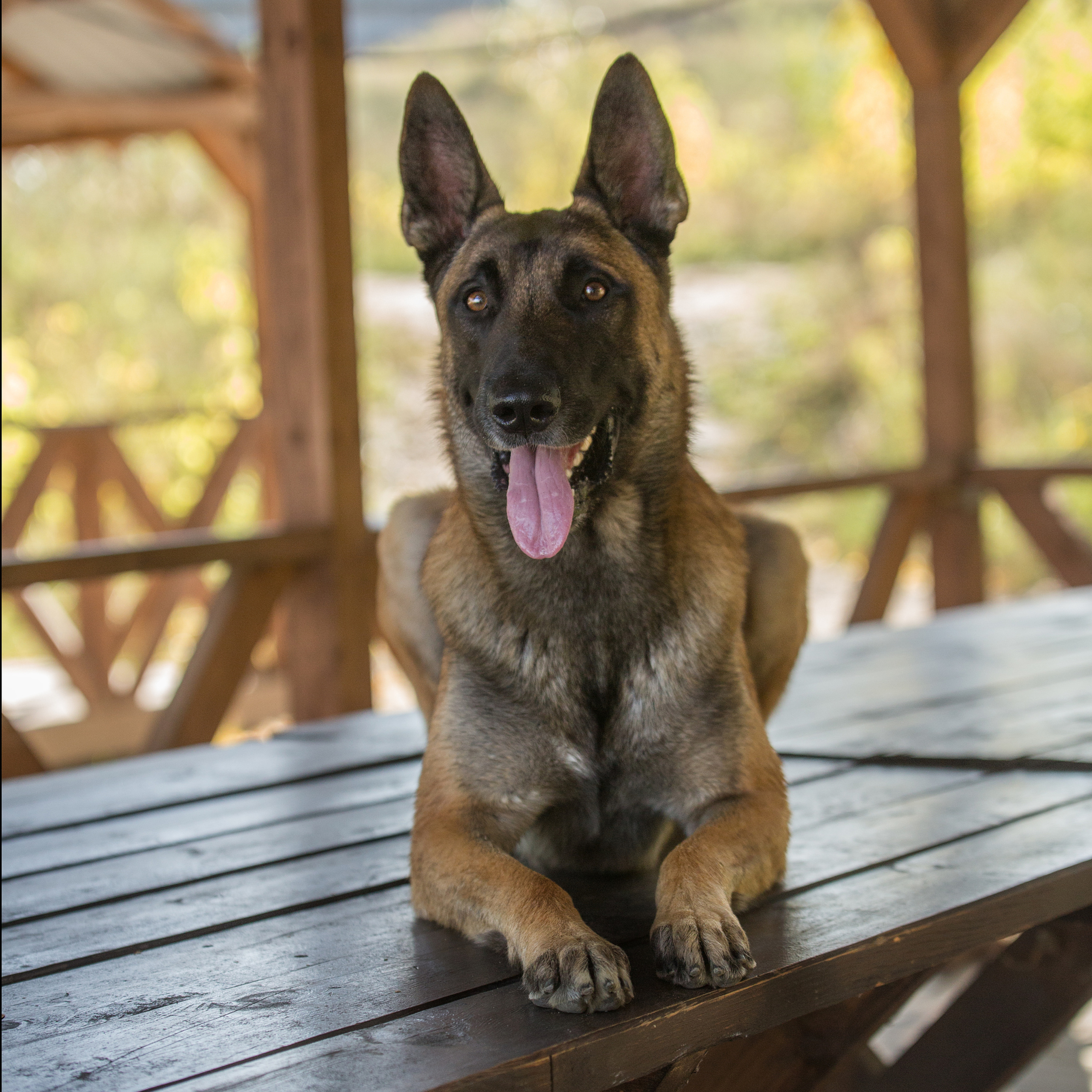 Коннор и Мара