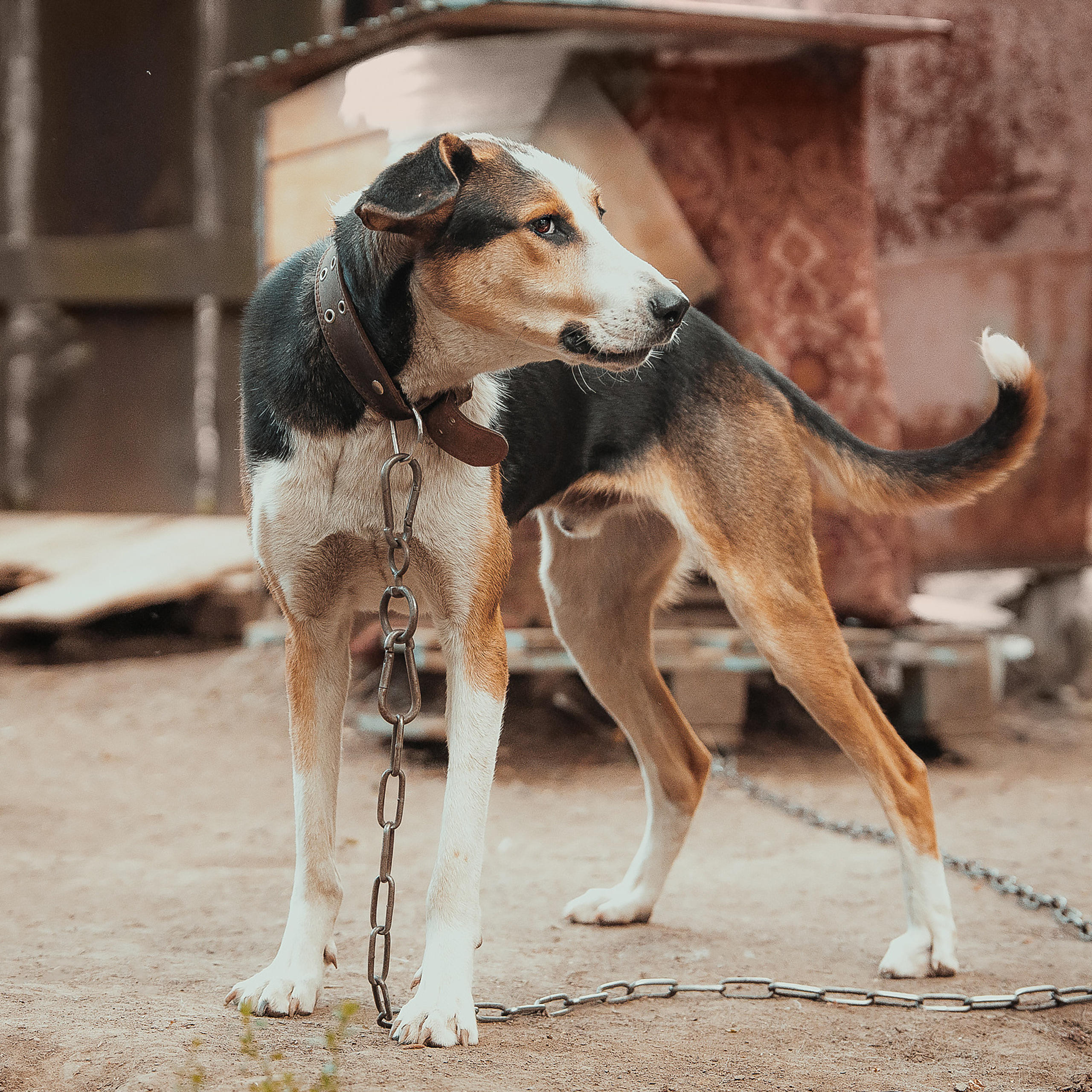 Отзывы. Фотограф в Новосибирске