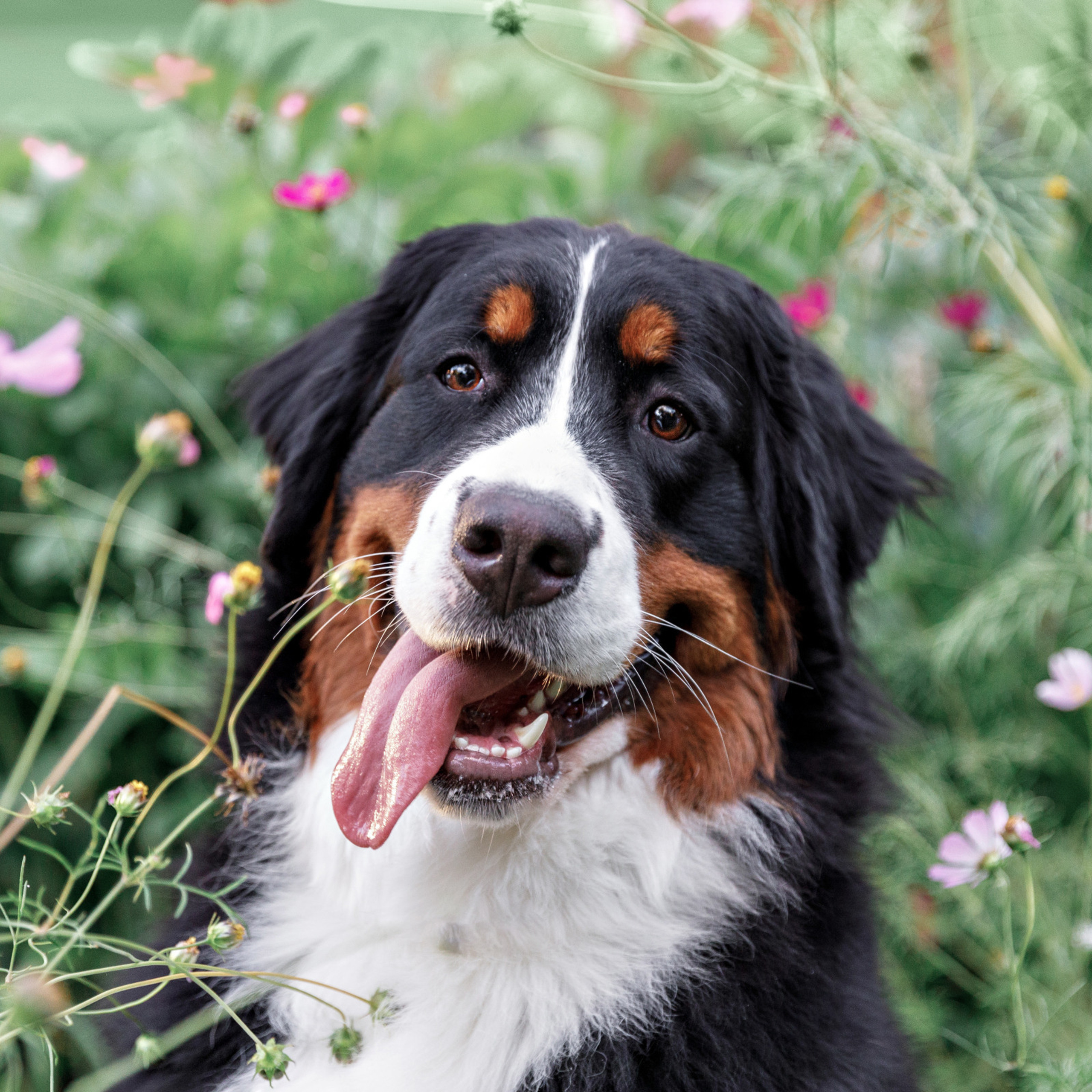 Отзывы. Фотограф в Новосибирске