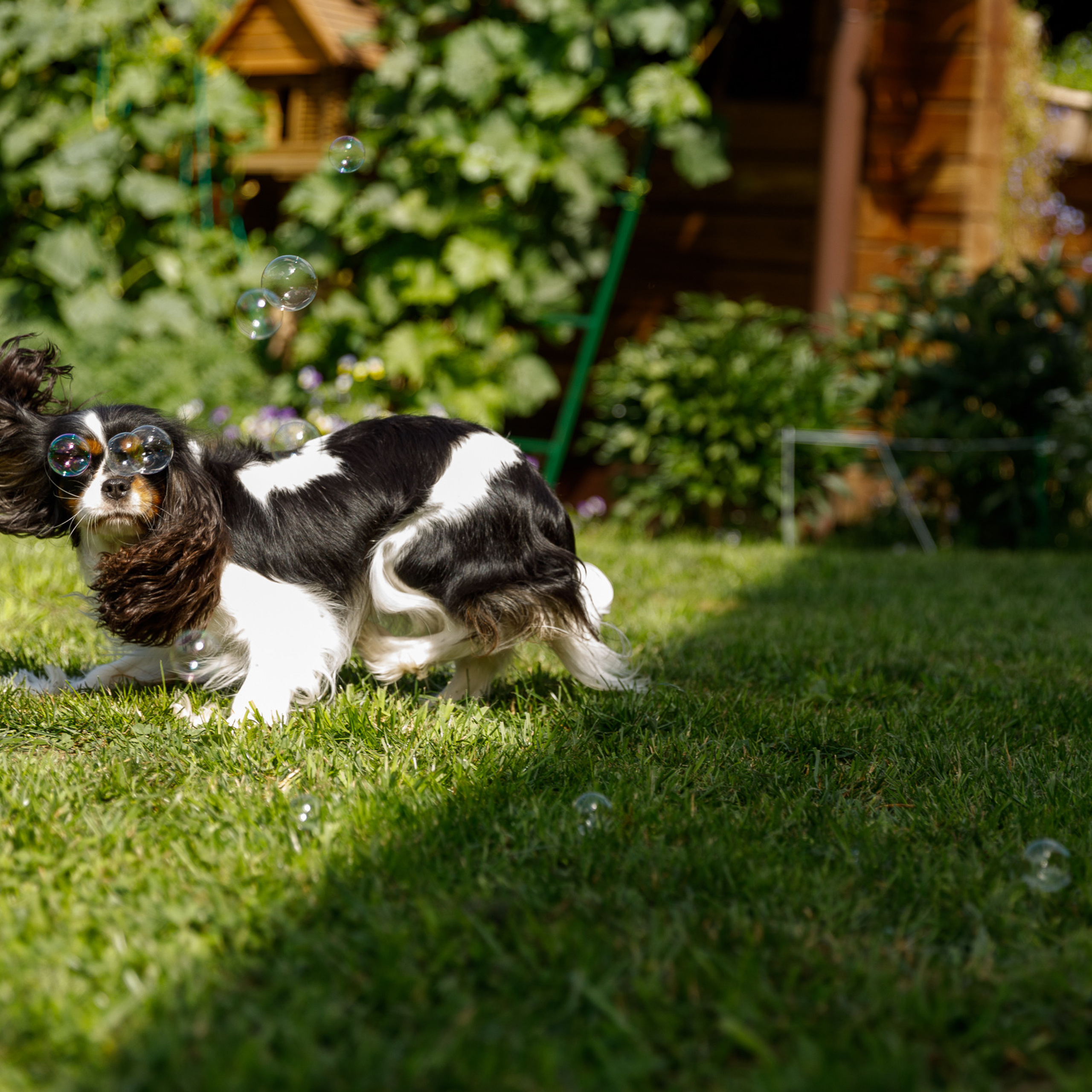 Отзывы. Фотограф в Новосибирске