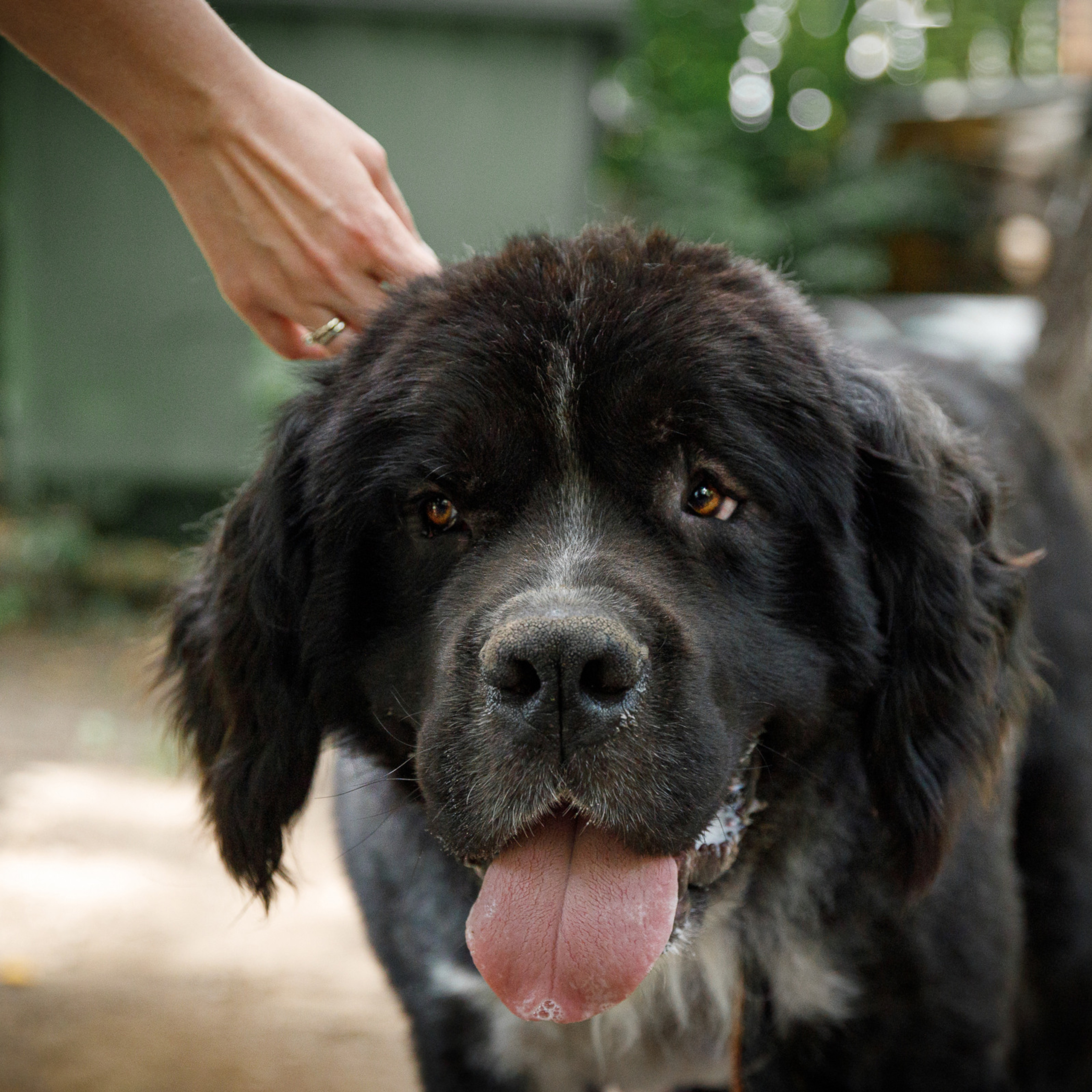 Отзывы. Фотограф в Новосибирске
