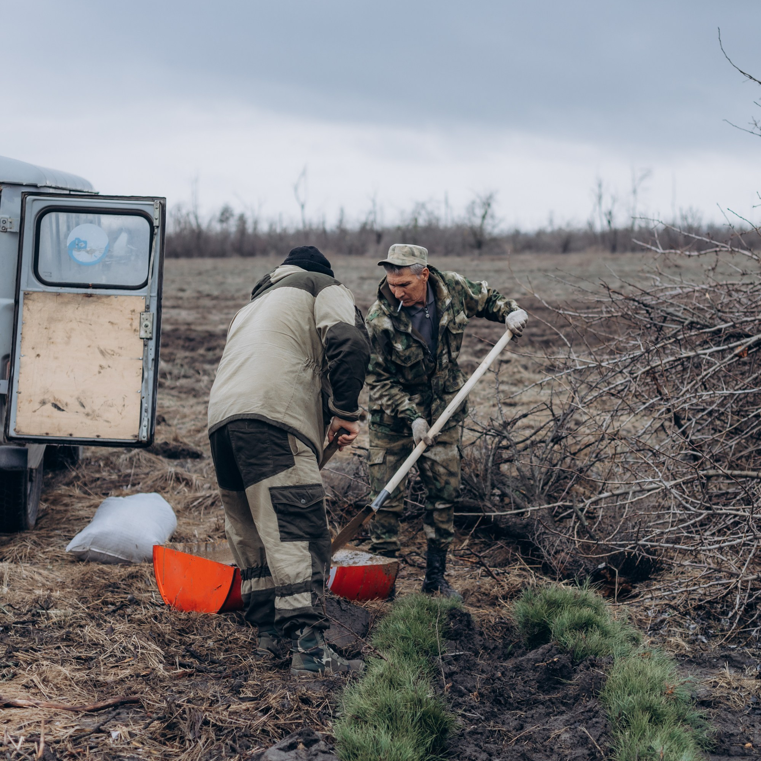 Посадка деревьев в Усть-Донецком районе. Артём Панфилов — Свадебный и семейный фотограф в Ростове-на-Дону