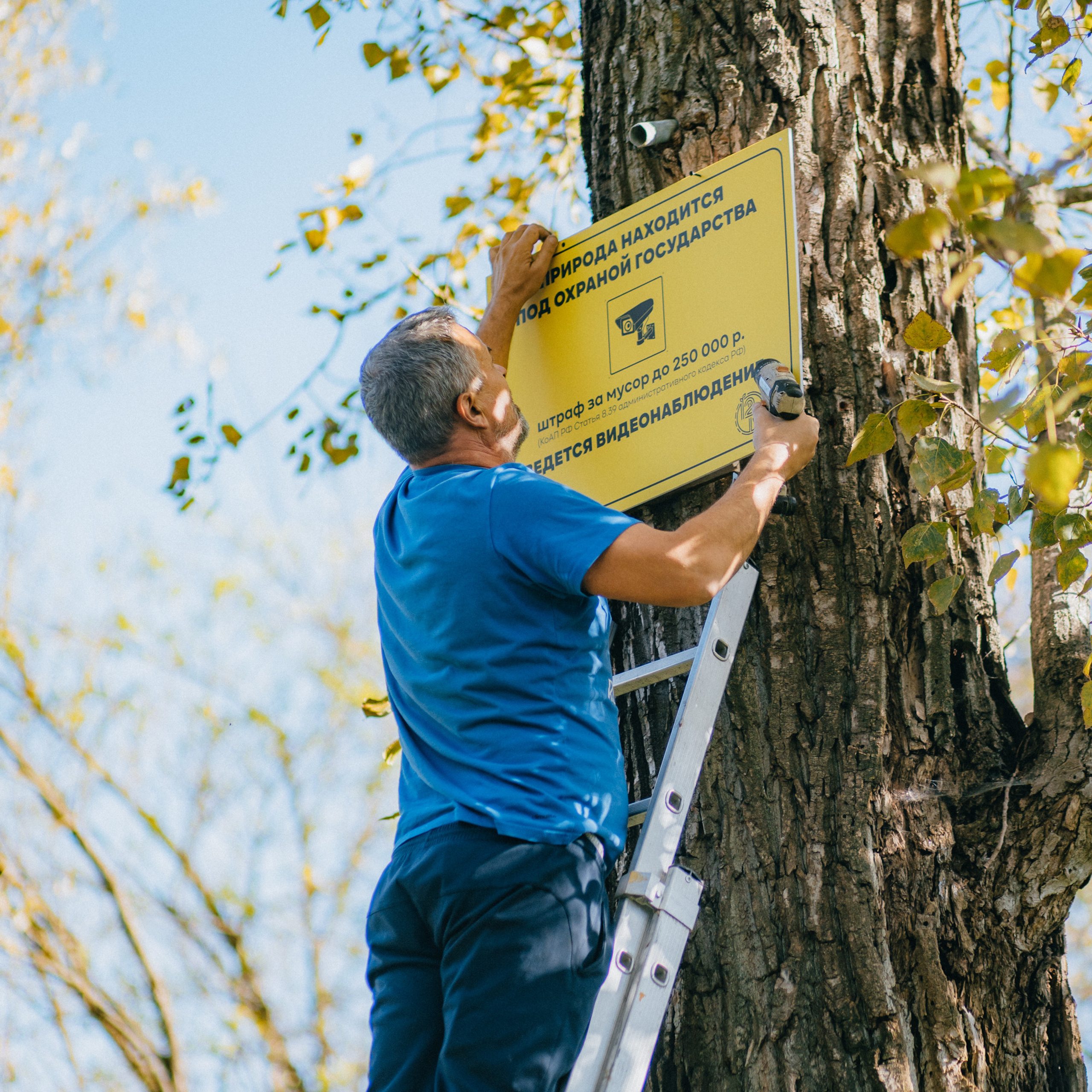 Акция «Лес будущего». Артём Панфилов — Свадебный и семейный фотограф в Ростове-на-Дону
