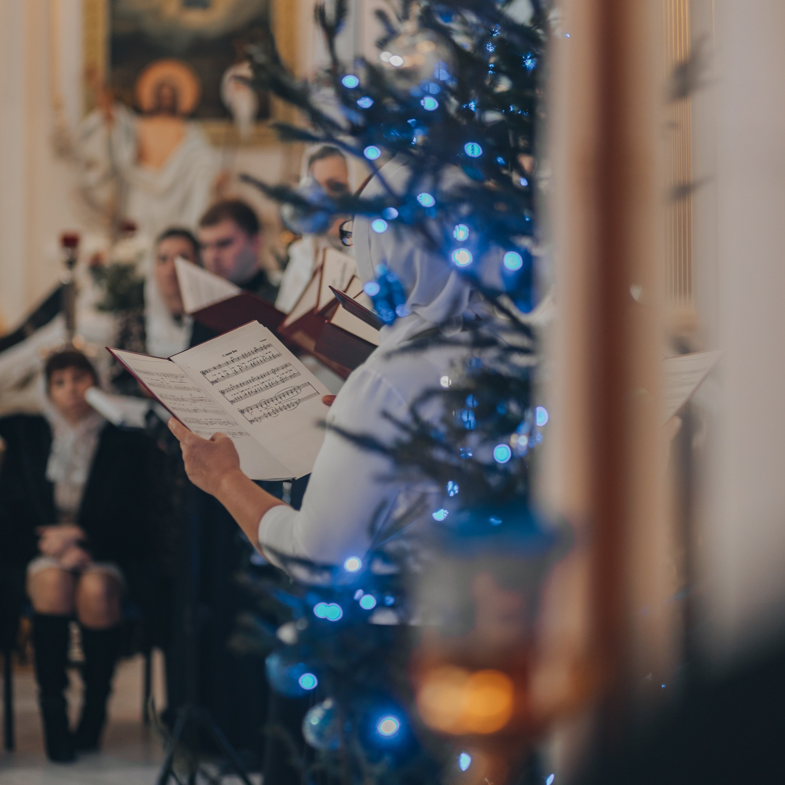 Акция «Лес будущего». Артём Панфилов — Свадебный и семейный фотограф в Ростове-на-Дону