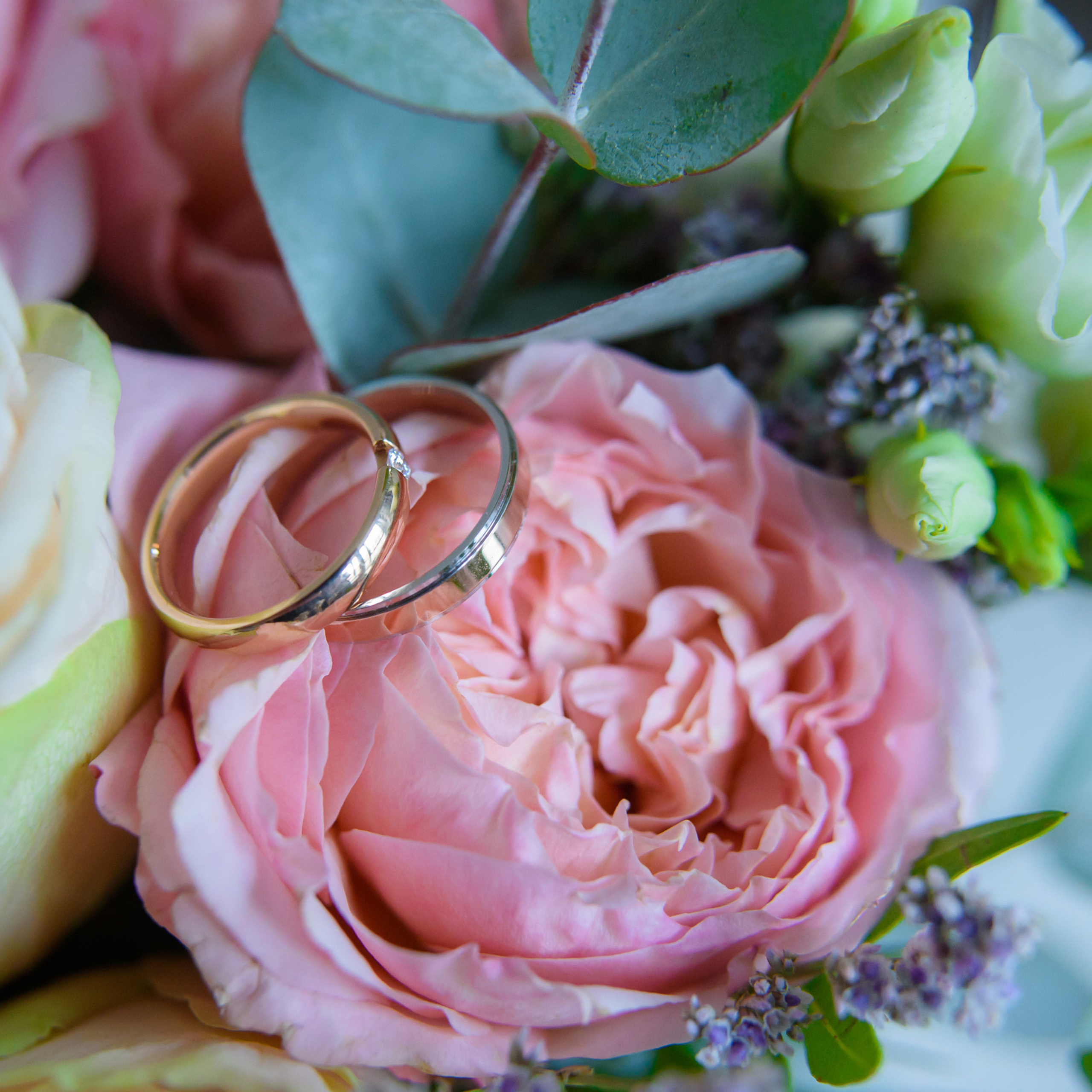 Отзывы о фотографе в Спб. фотограф. Фотограф спб, Санкт-Петербурге, Питере  Денис Гусев