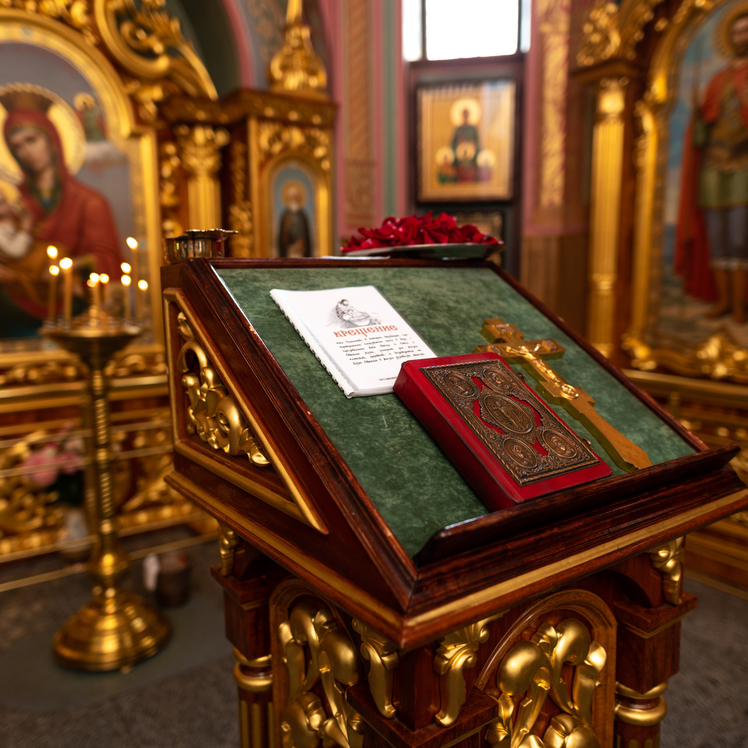 Отзывы. Семейный фотограф в Донецке Елена Горбатенко