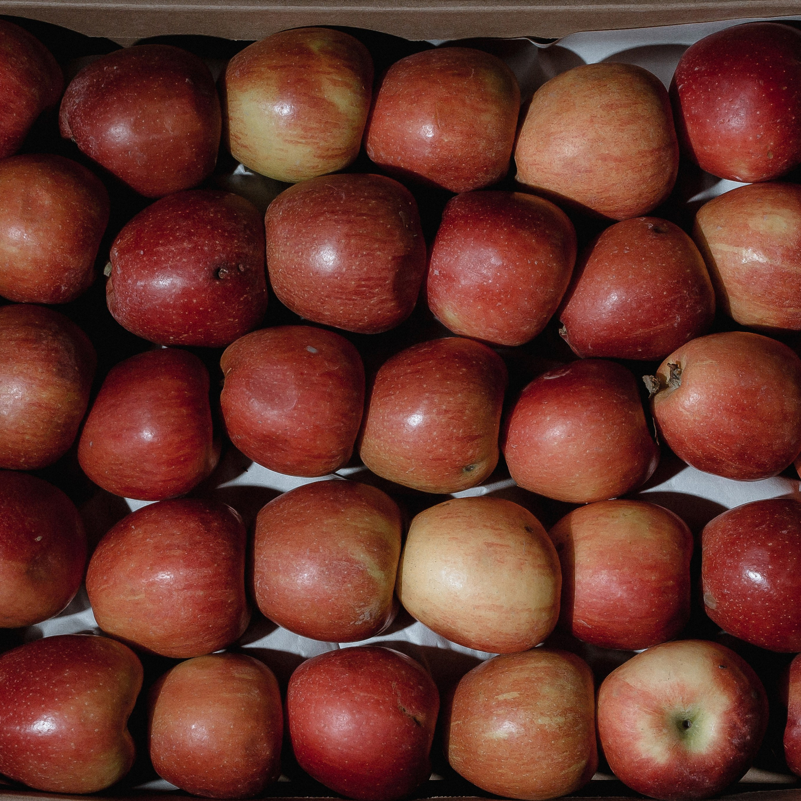 Отзывы. Свадебный и семейный фотограф в Анапе/Новороссийске Виктория Чайка