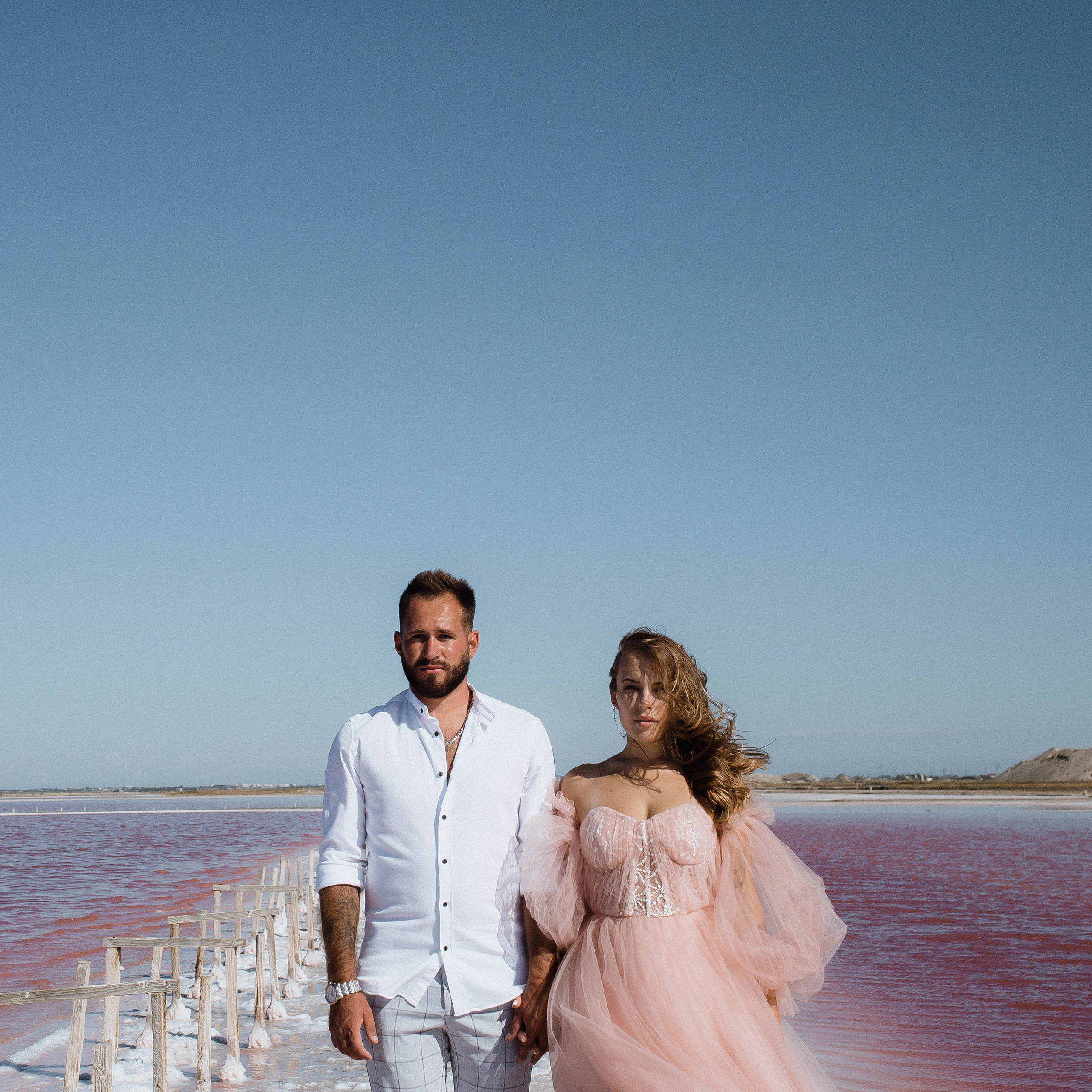 РОЗОВЫЙ ВЕТЕР