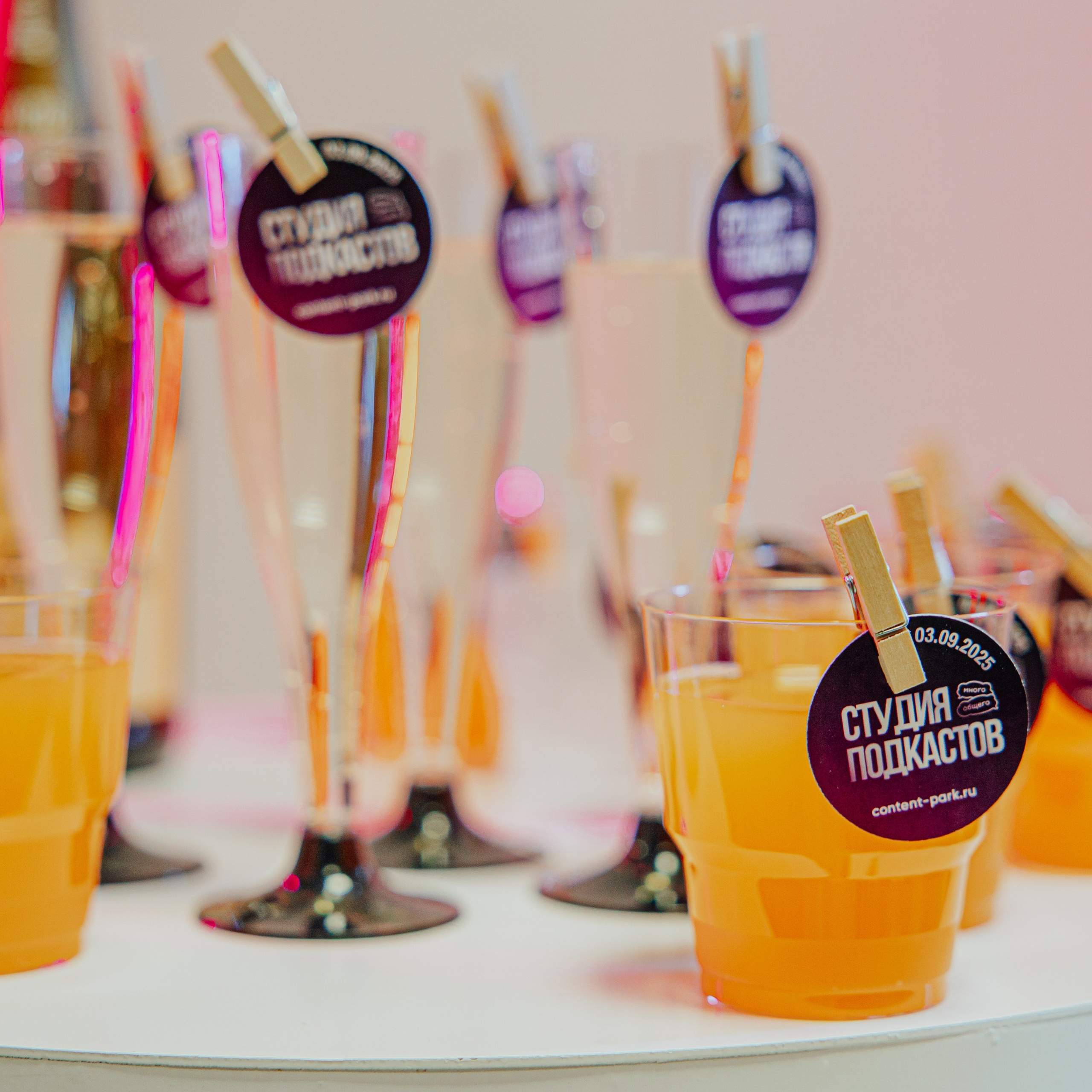 Окрытие студии «Много общего»