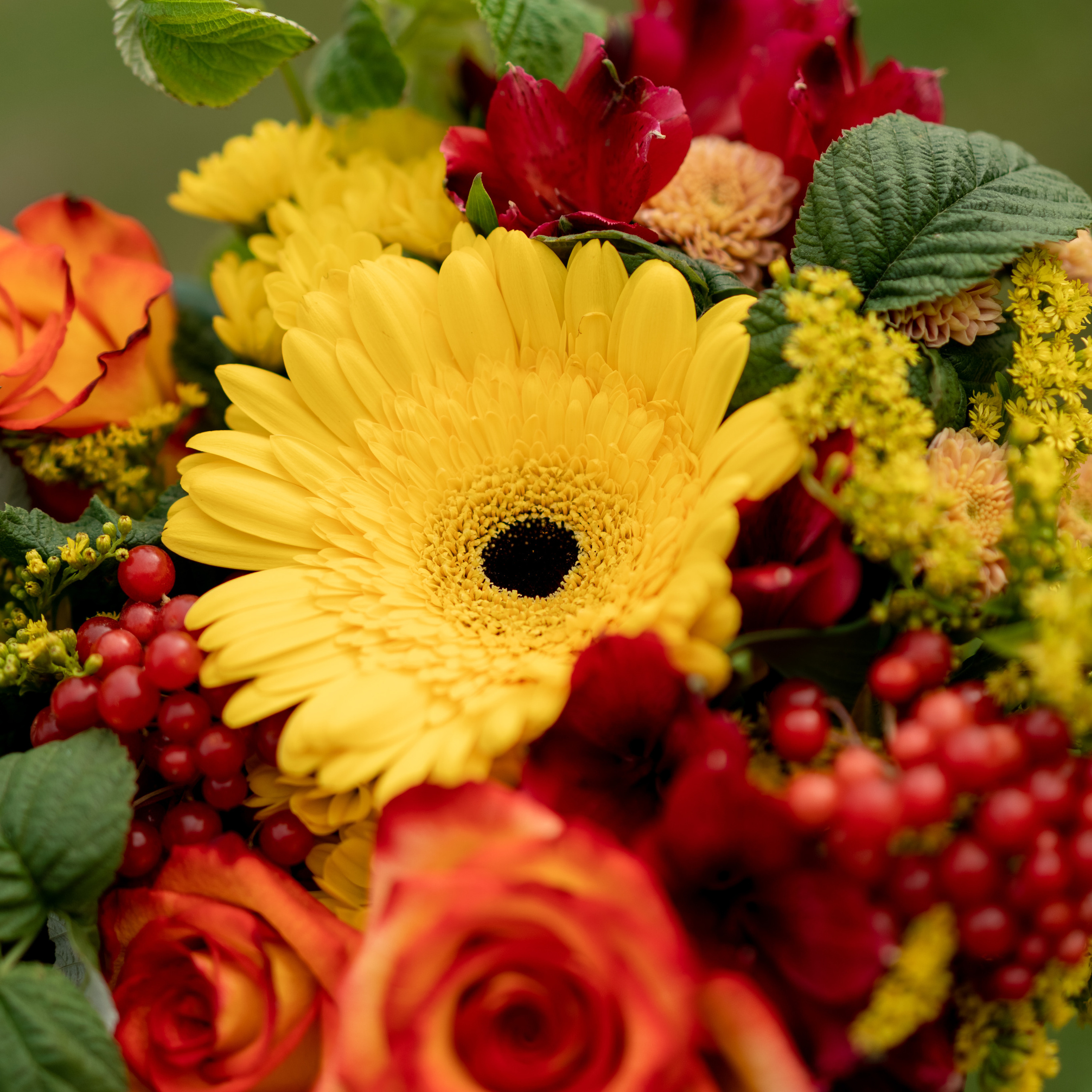 Отзывы о фотосессии Красноярск. Семейный и детский фотограф Красноярск Наталья Сташкевич
