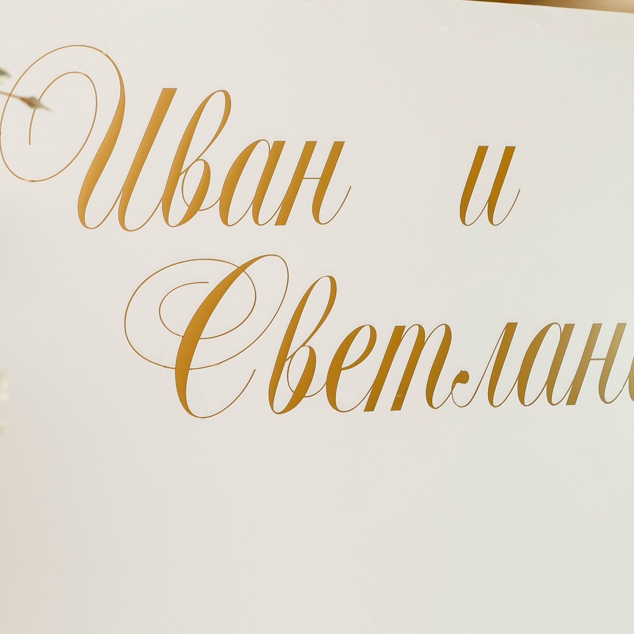 Отзывы. Семейный и репортажный фотограф в Череповце Оля Ланец