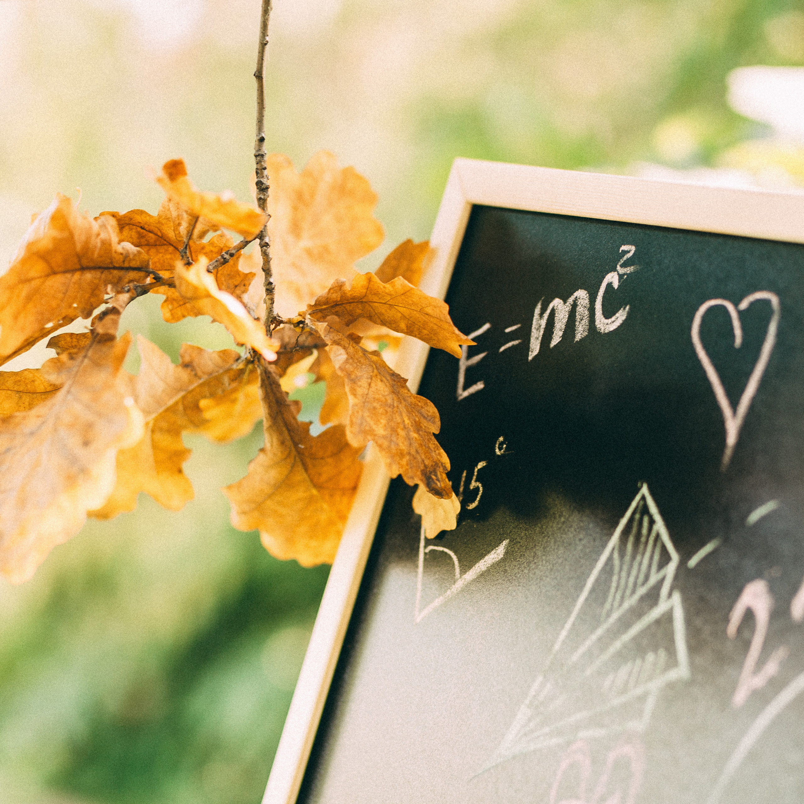 Отзывы. Семейный и репортажный фотограф в Череповце Оля Ланец