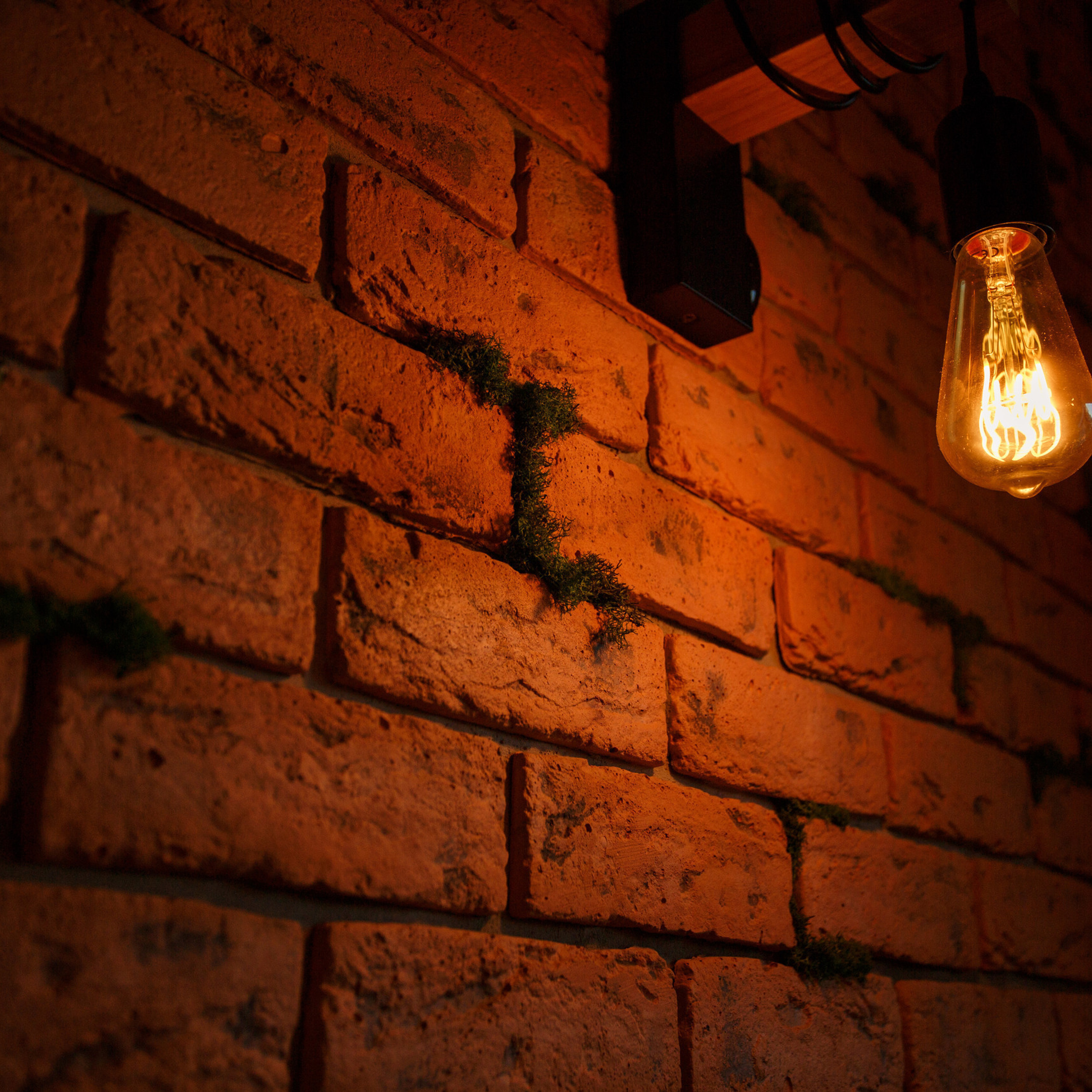 Отзывы о фотографе Инессе Грушко. Деловая и Бизнес съемка в  Москве Инесса Грушко