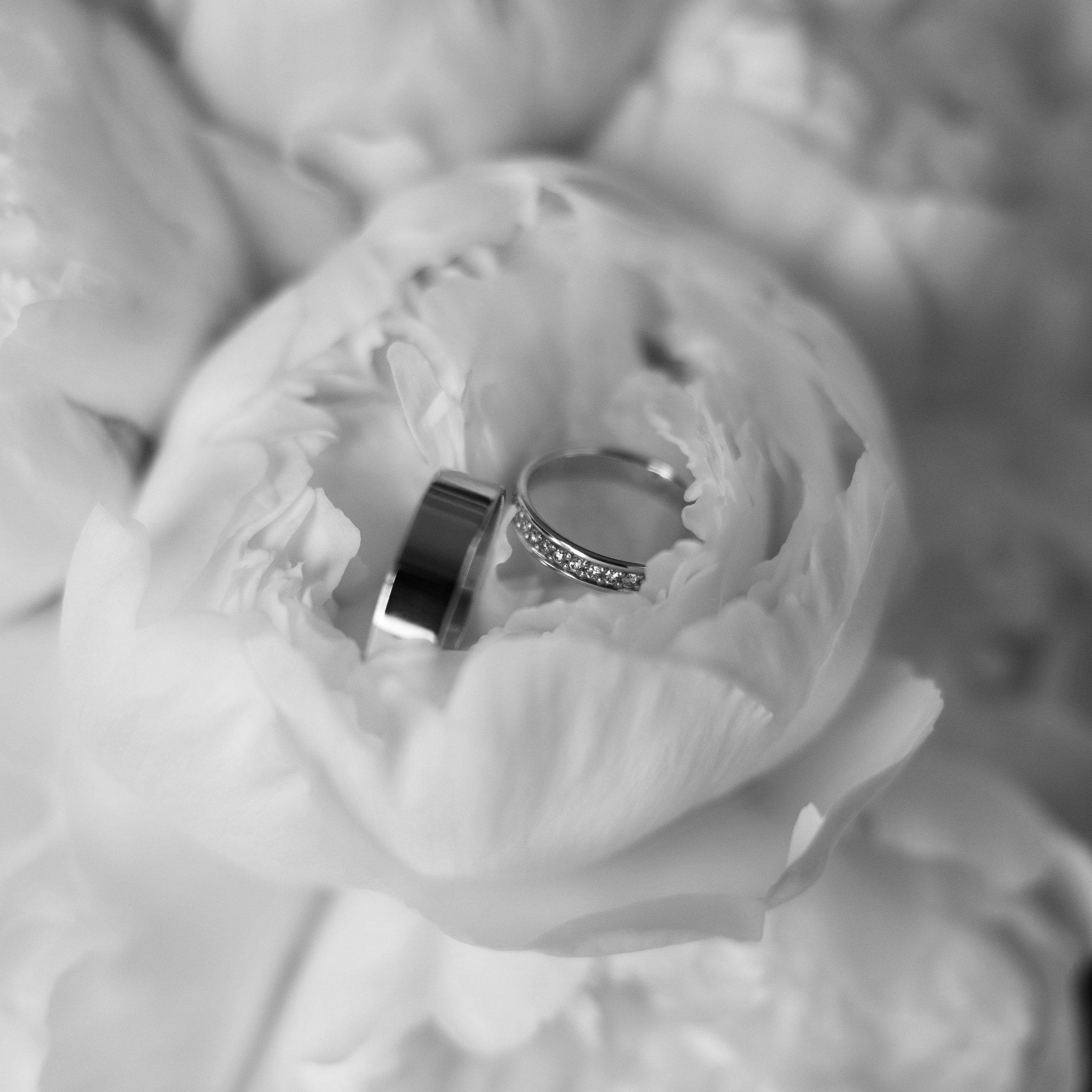 Александр и Анна