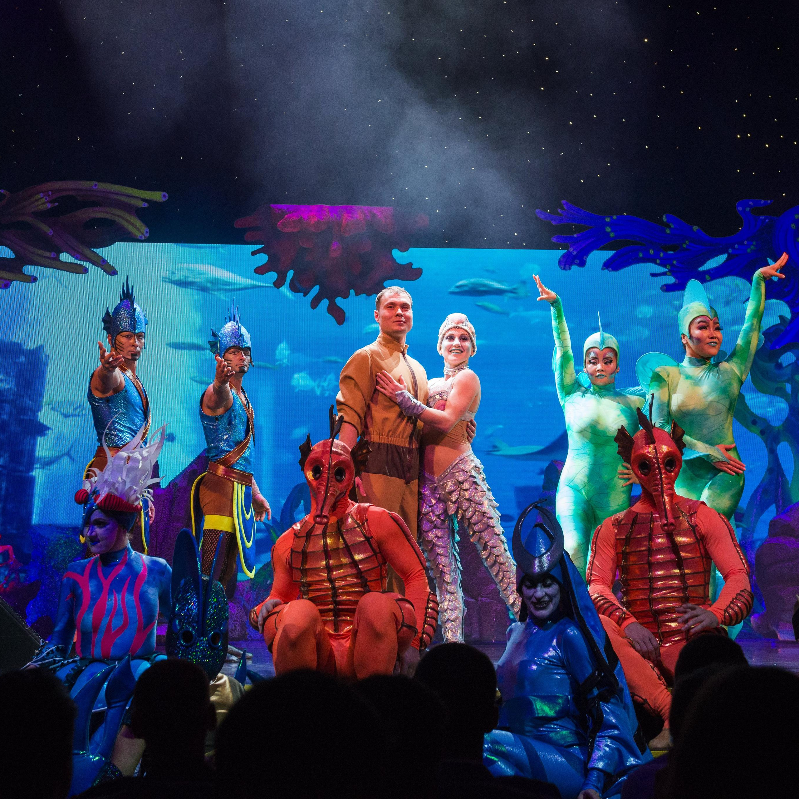 Spectacle de Cirque