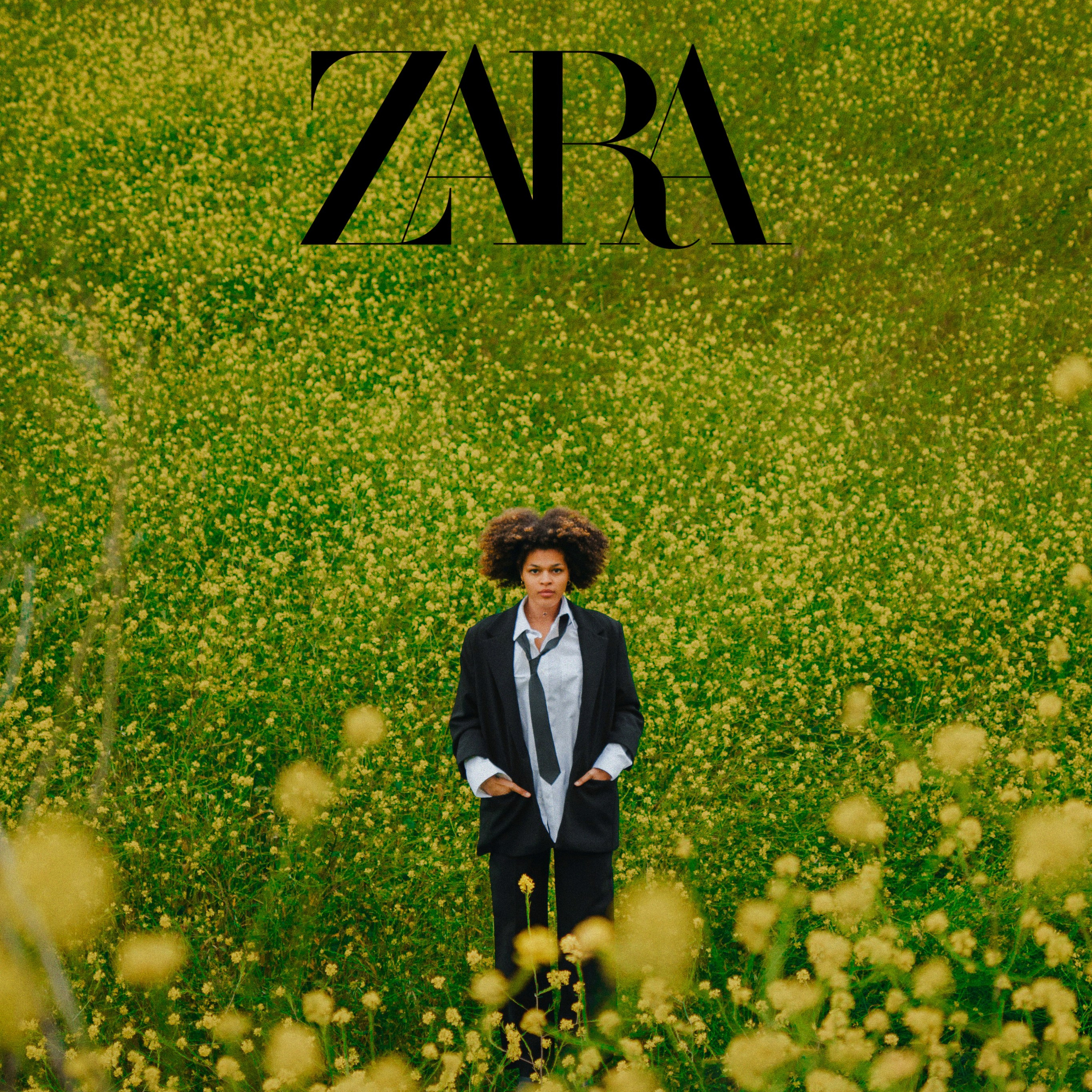 Automotive & Services