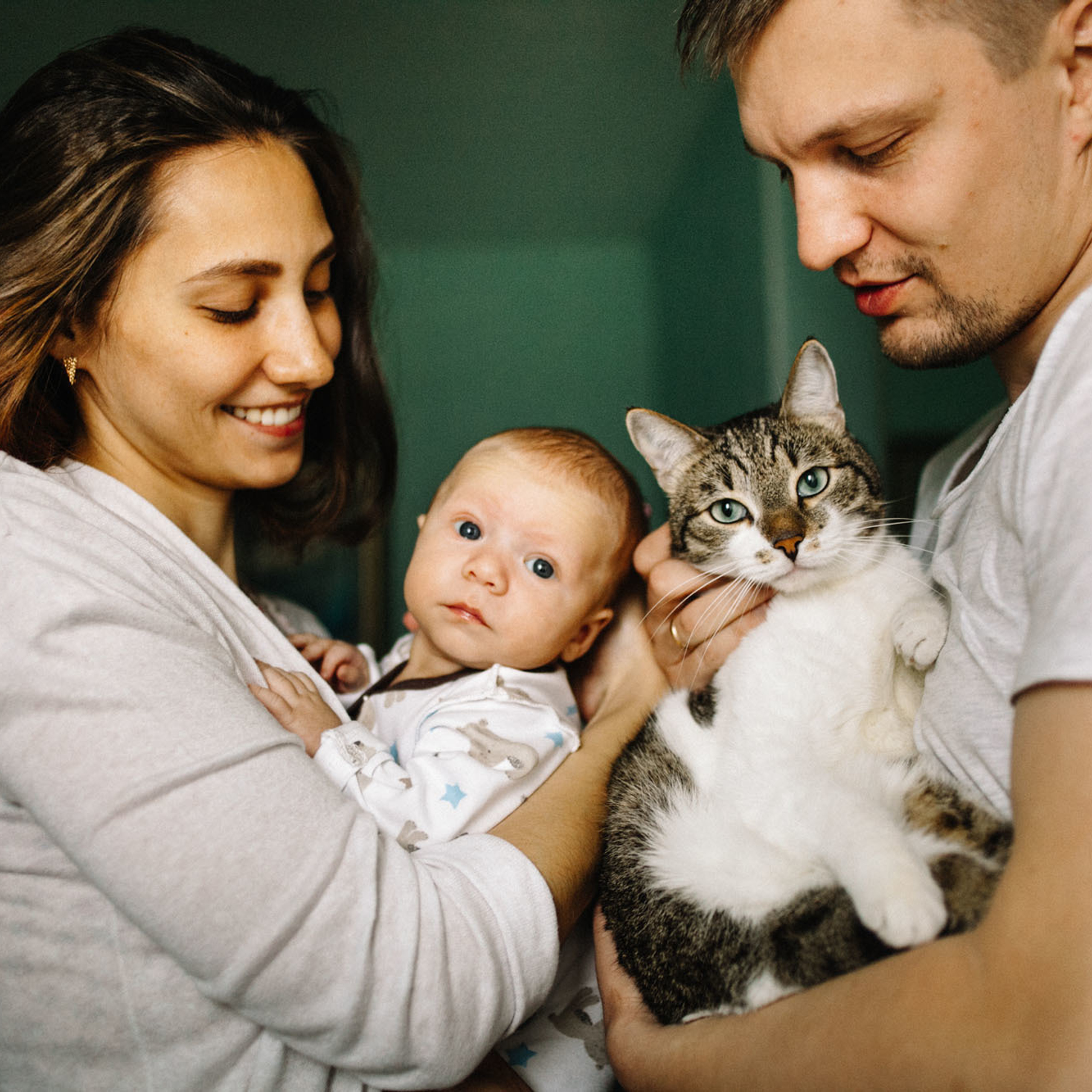 Дома тепло и Котенька