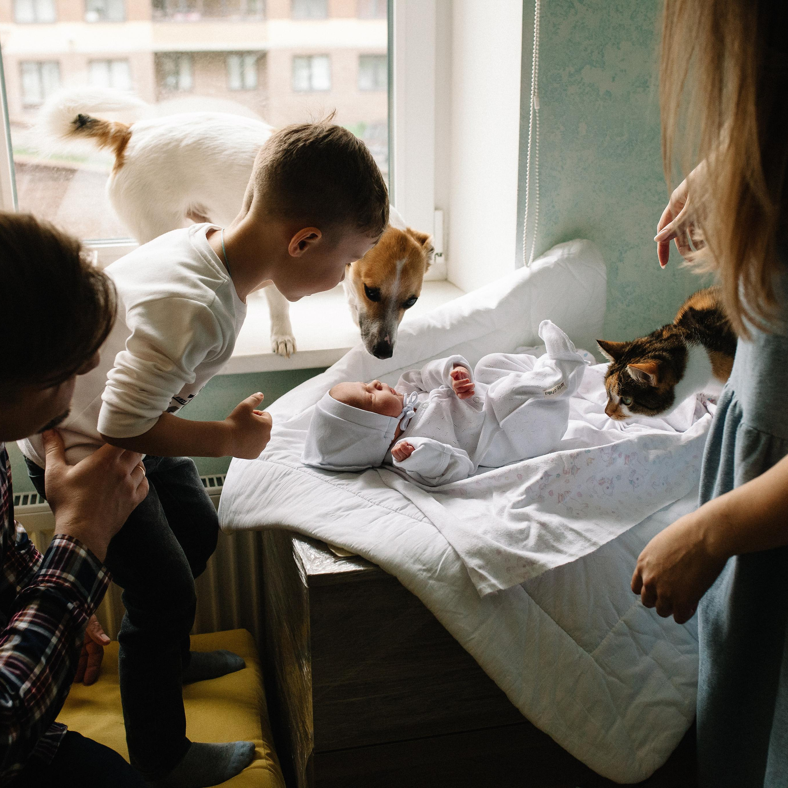 Выписка из род дома