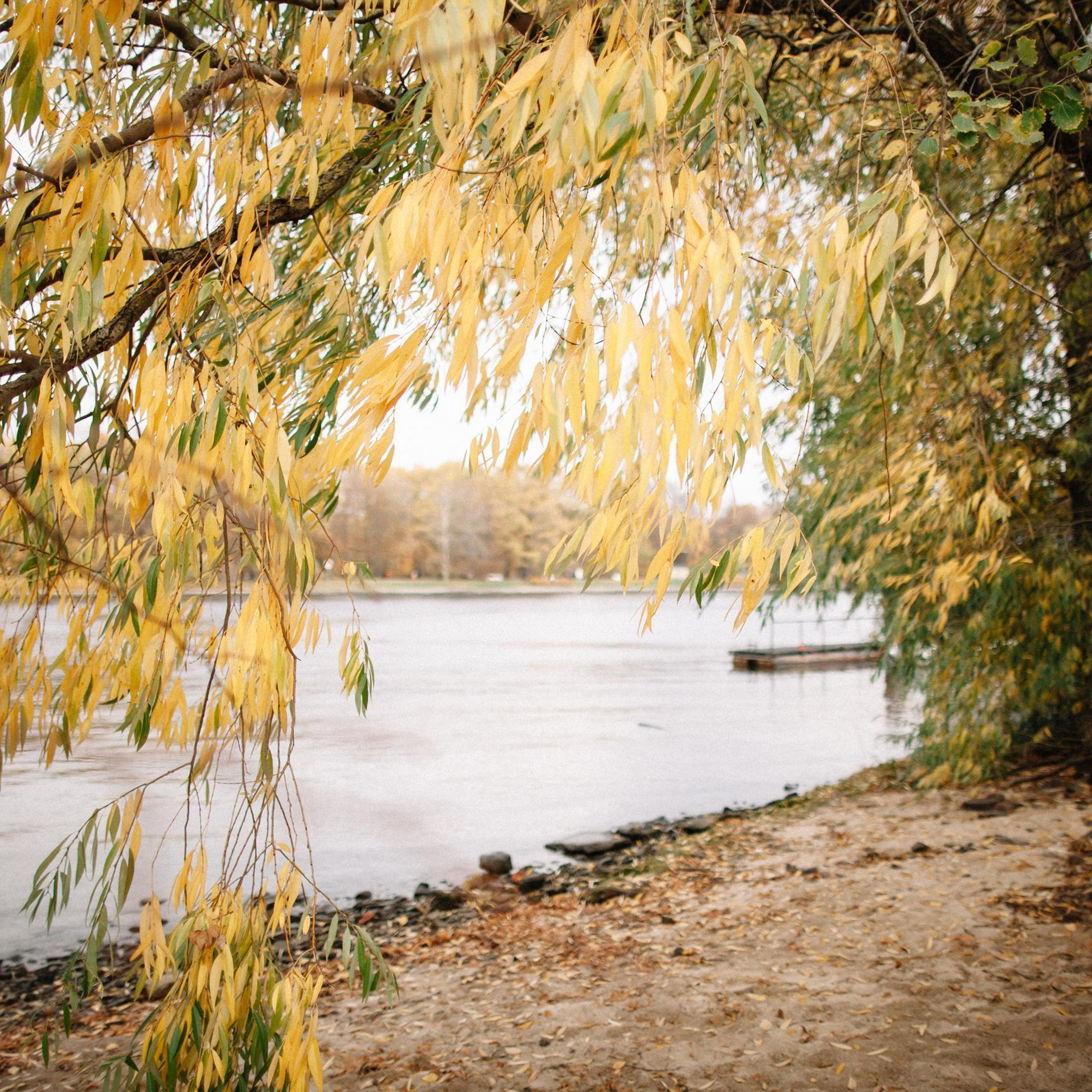 Отзывы на услуги фотографа в Майкопе. Семейный и свадебный фотограф в Майкопе Михаил Мартиросян