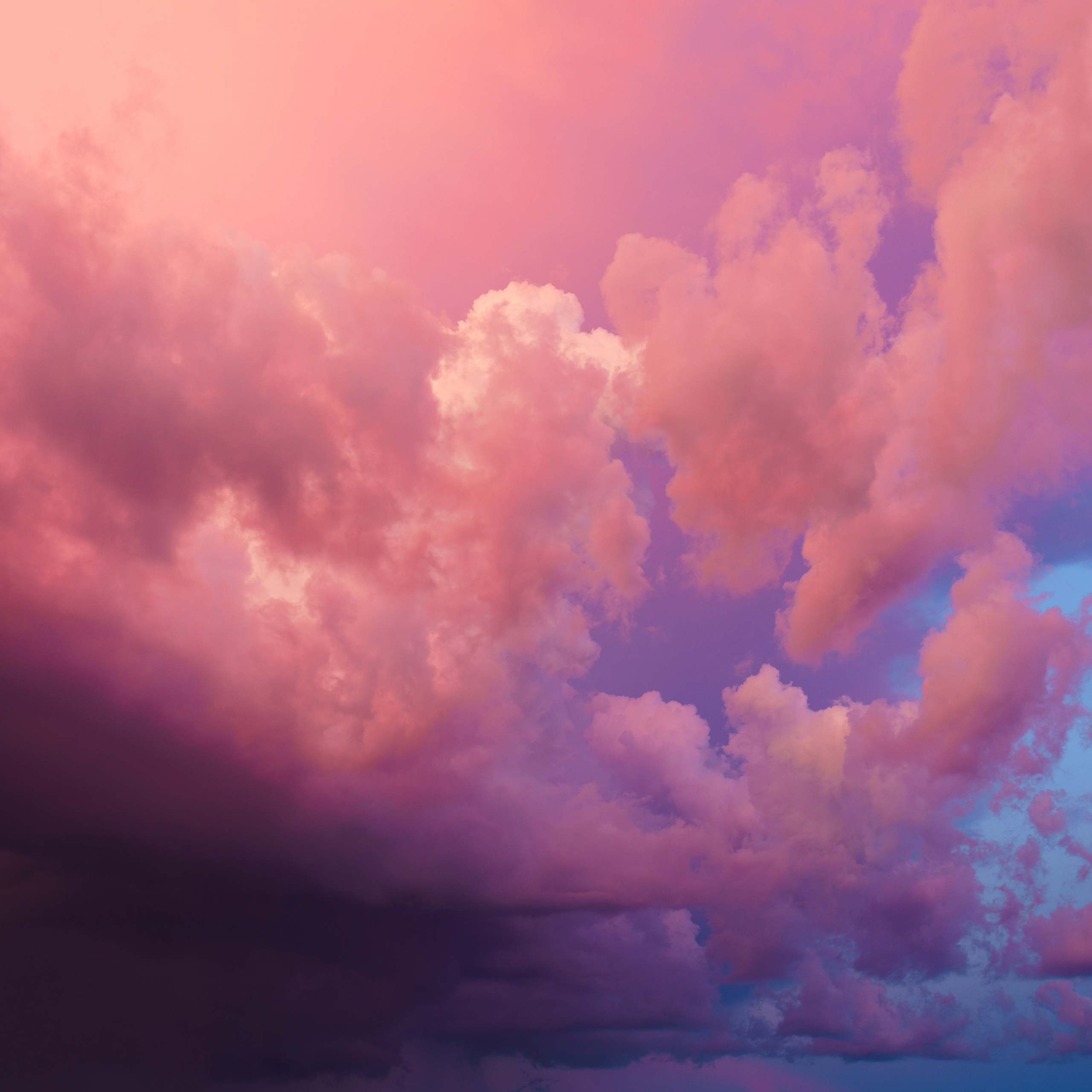 ЦВЕТНЫЕ ФОТОГРАФИИ