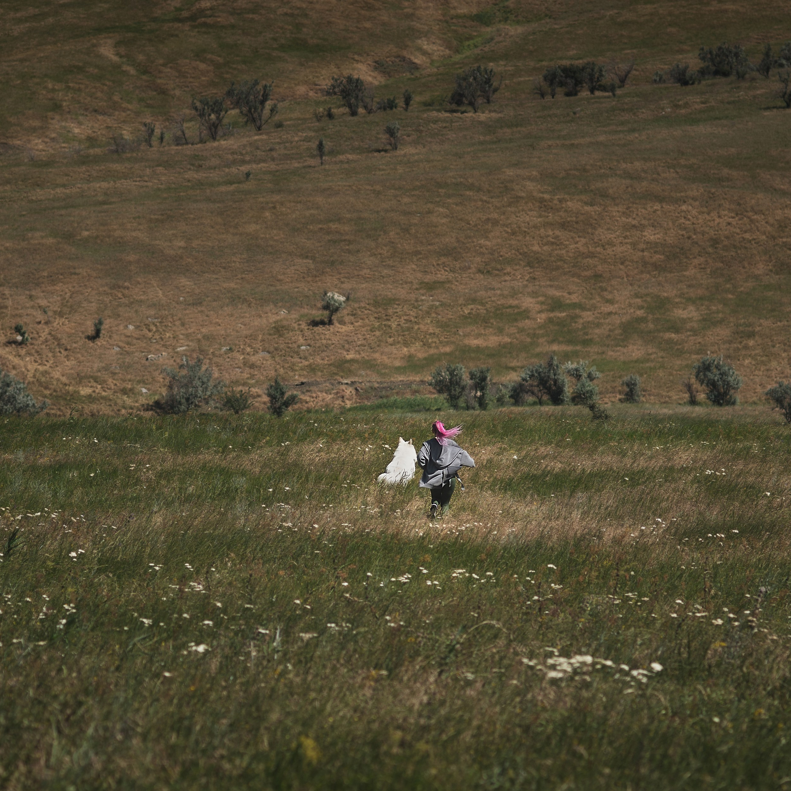 Одно солнечное утро.