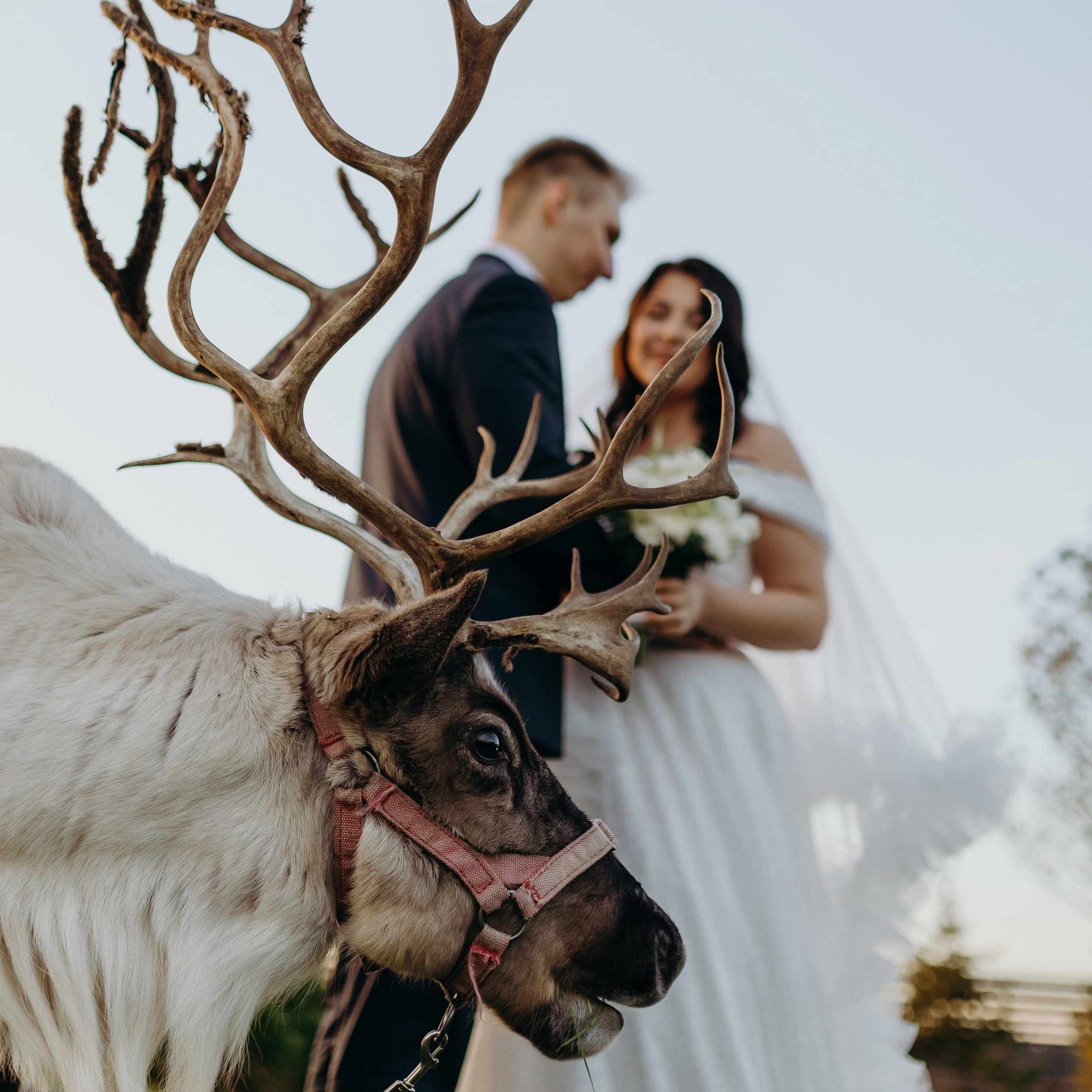 Wedding day 19.10.24