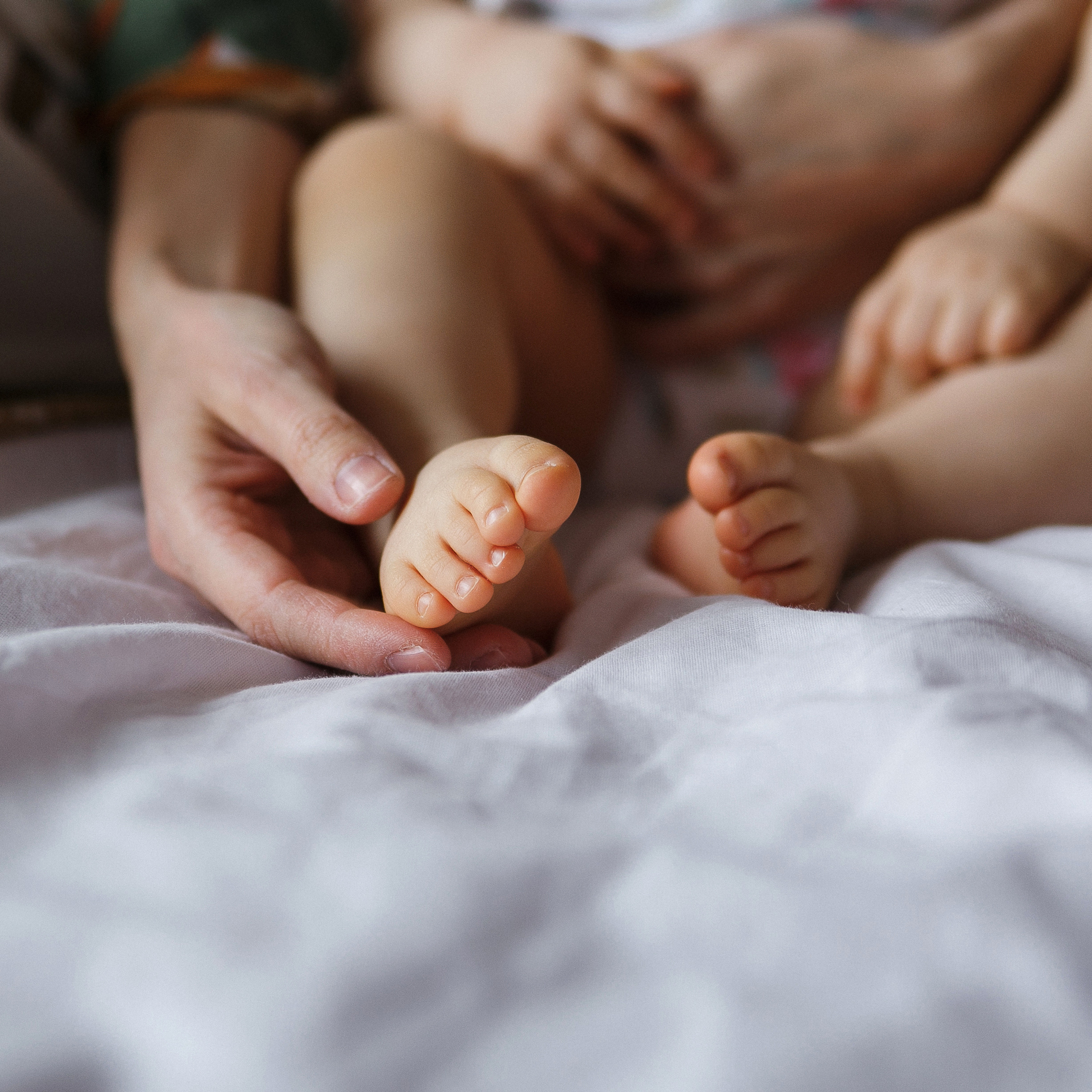 Домашняя история